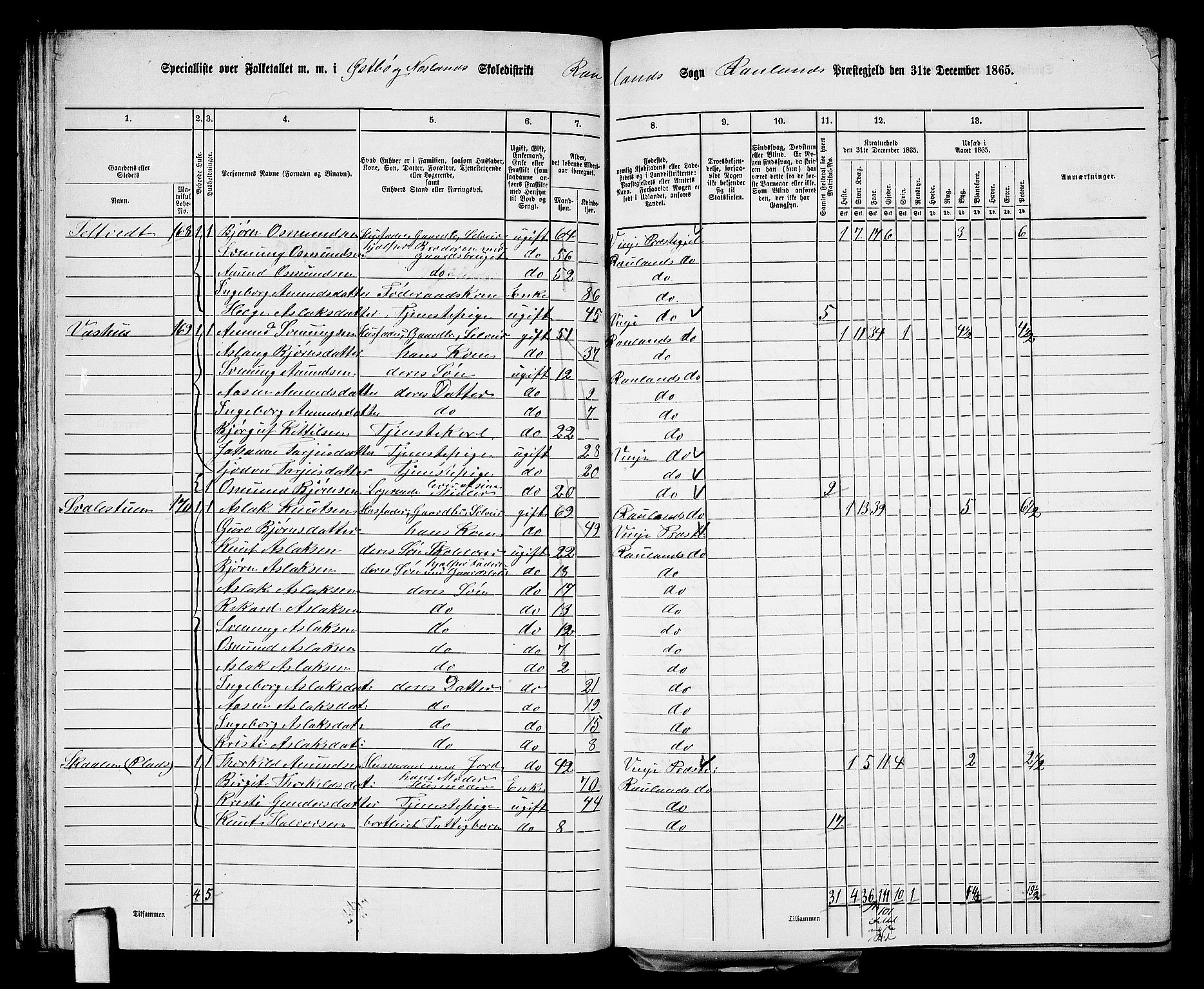 RA, 1865 census for Rauland, 1865, p. 43