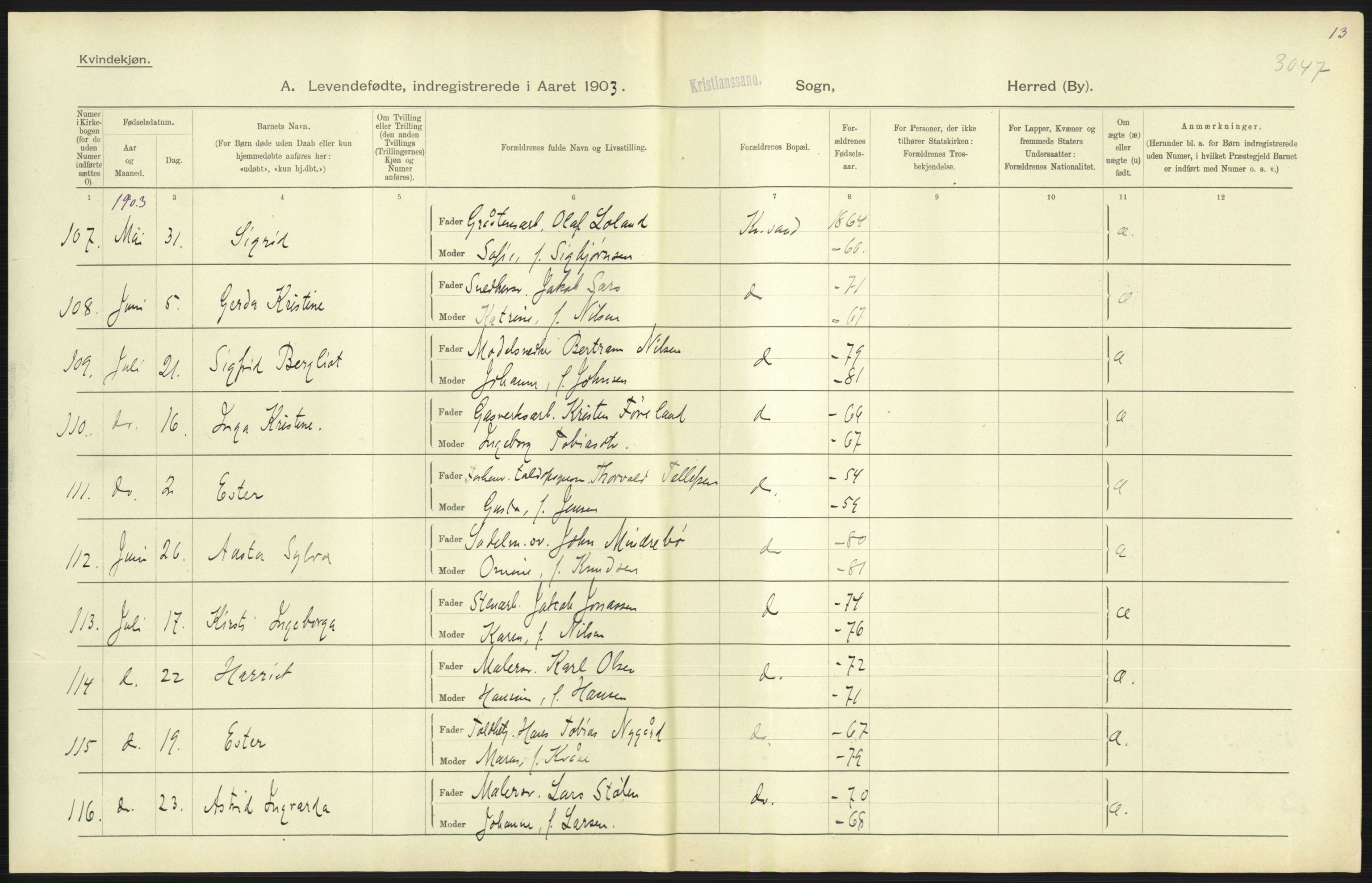 Statistisk sentralbyrå, Sosiodemografiske emner, Befolkning, AV/RA-S-2228/D/Df/Dfa/Dfaa/L0011: Lister og Mandal amt: Fødte, gifte, døde, 1903, p. 247