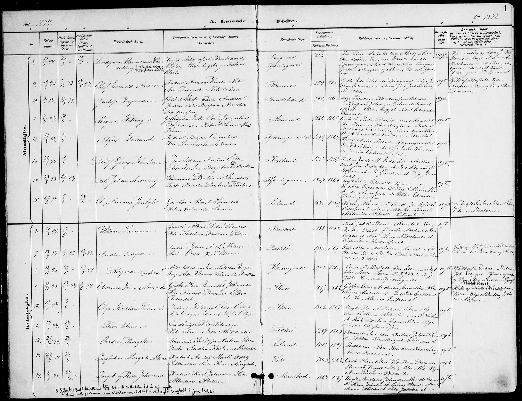 Ministerialprotokoller, klokkerbøker og fødselsregistre - Nordland, AV/SAT-A-1459/895/L1372: Parish register (official) no. 895A07, 1894-1914, p. 1