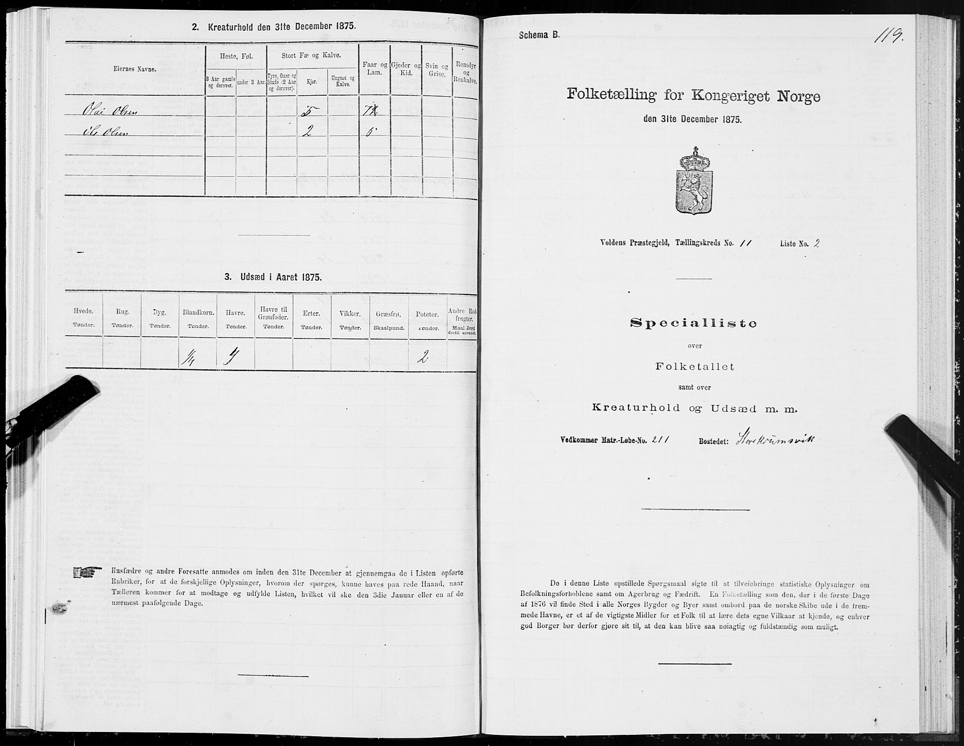 SAT, 1875 census for 1519P Volda, 1875, p. 6119