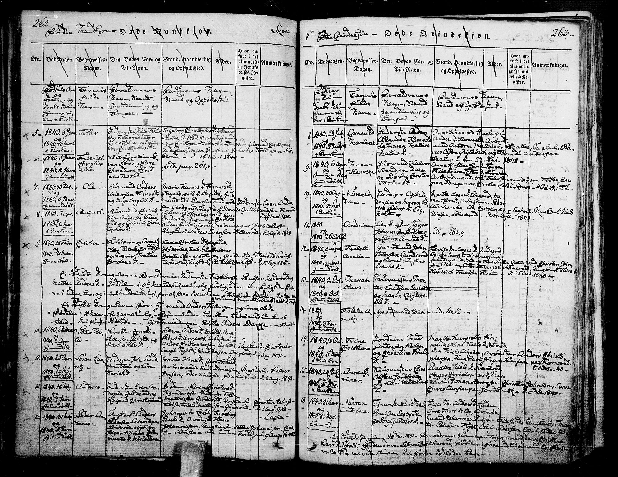 Skoger kirkebøker, SAKO/A-59/F/Fa/L0002: Parish register (official) no. I 2 /1, 1814-1842, p. 262-263