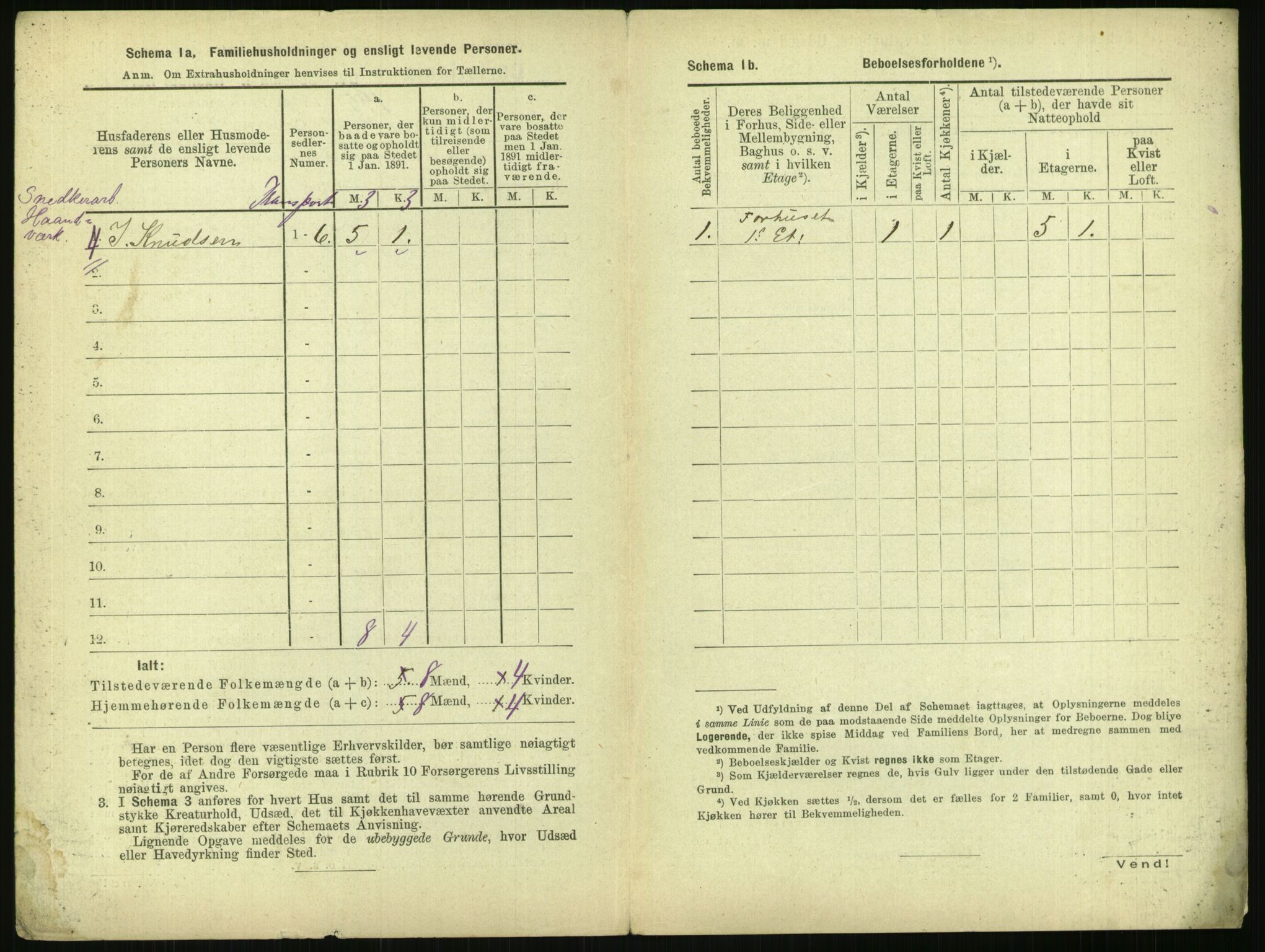 RA, 1891 census for 0301 Kristiania, 1891, p. 117495