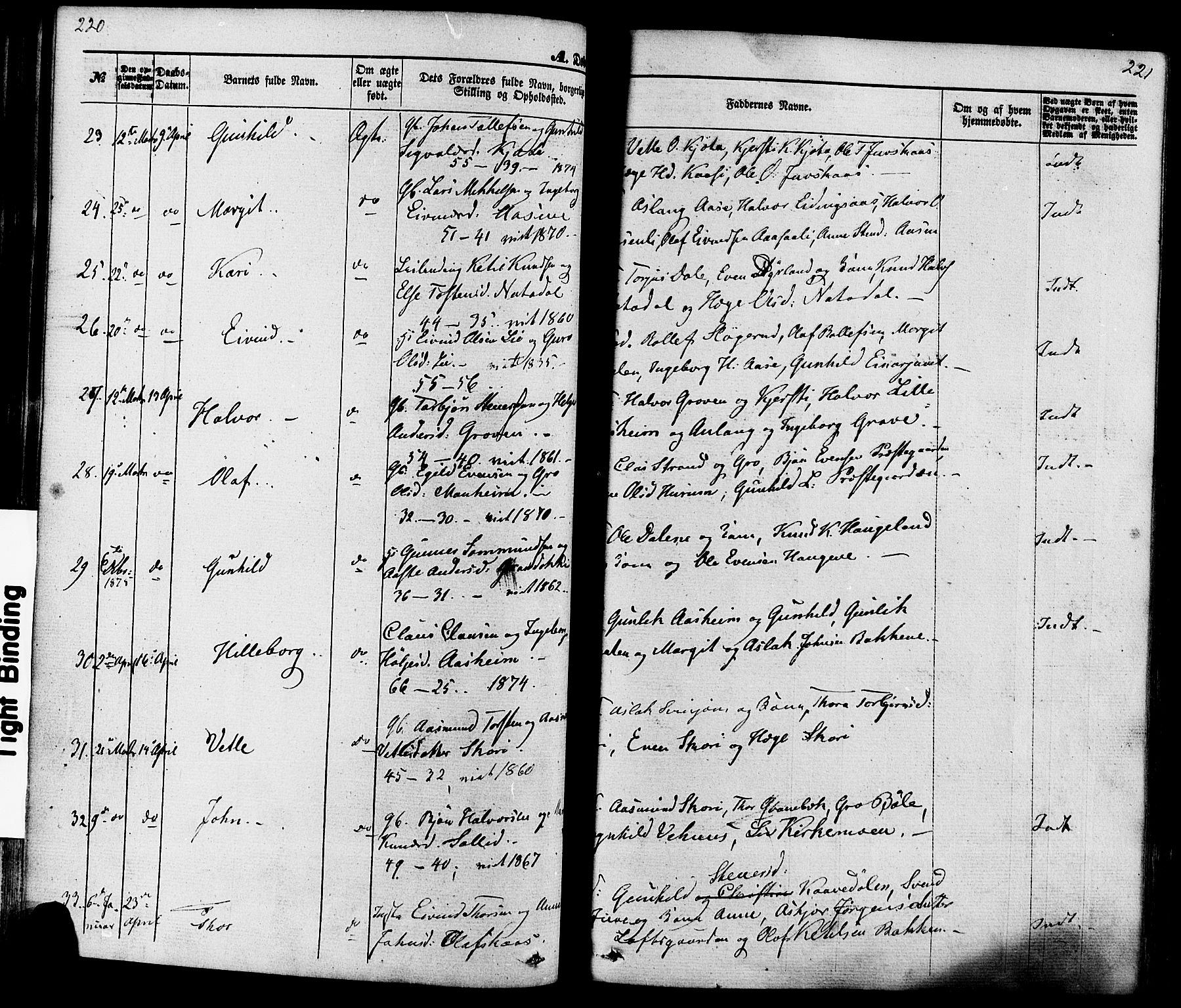 Seljord kirkebøker, SAKO/A-20/F/Fa/L0013: Parish register (official) no. I 13, 1866-1876, p. 220-221