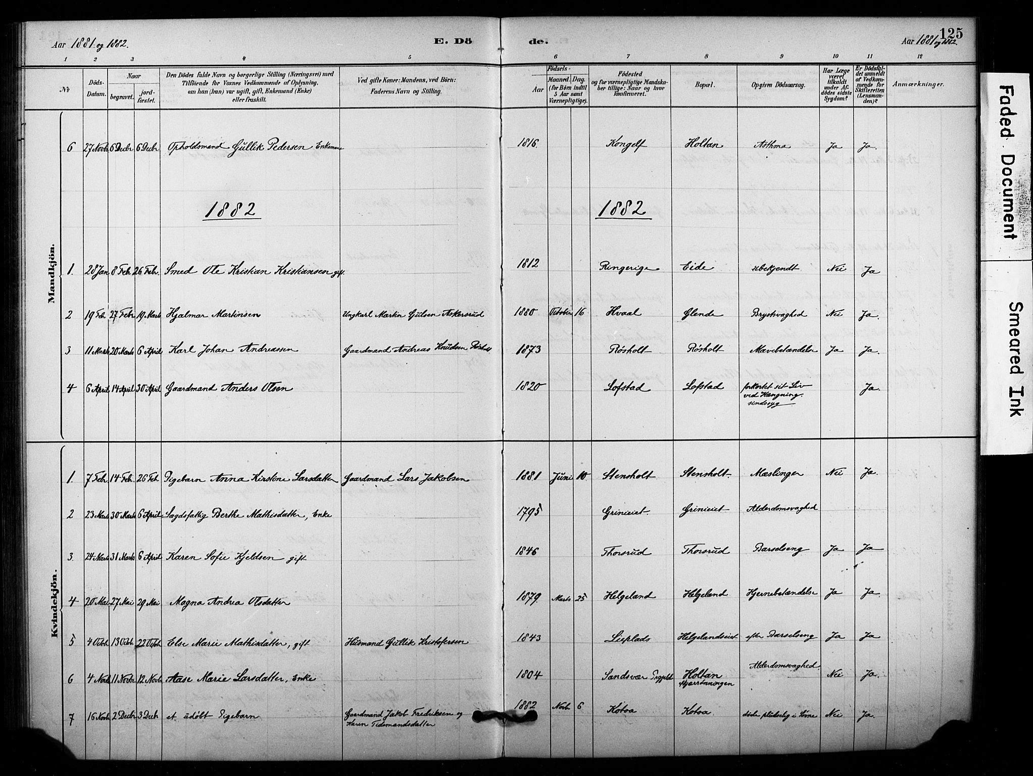 Lardal kirkebøker, AV/SAKO-A-350/F/Fd/L0001: Parish register (official) no. IV 1, 1881-1907, p. 125