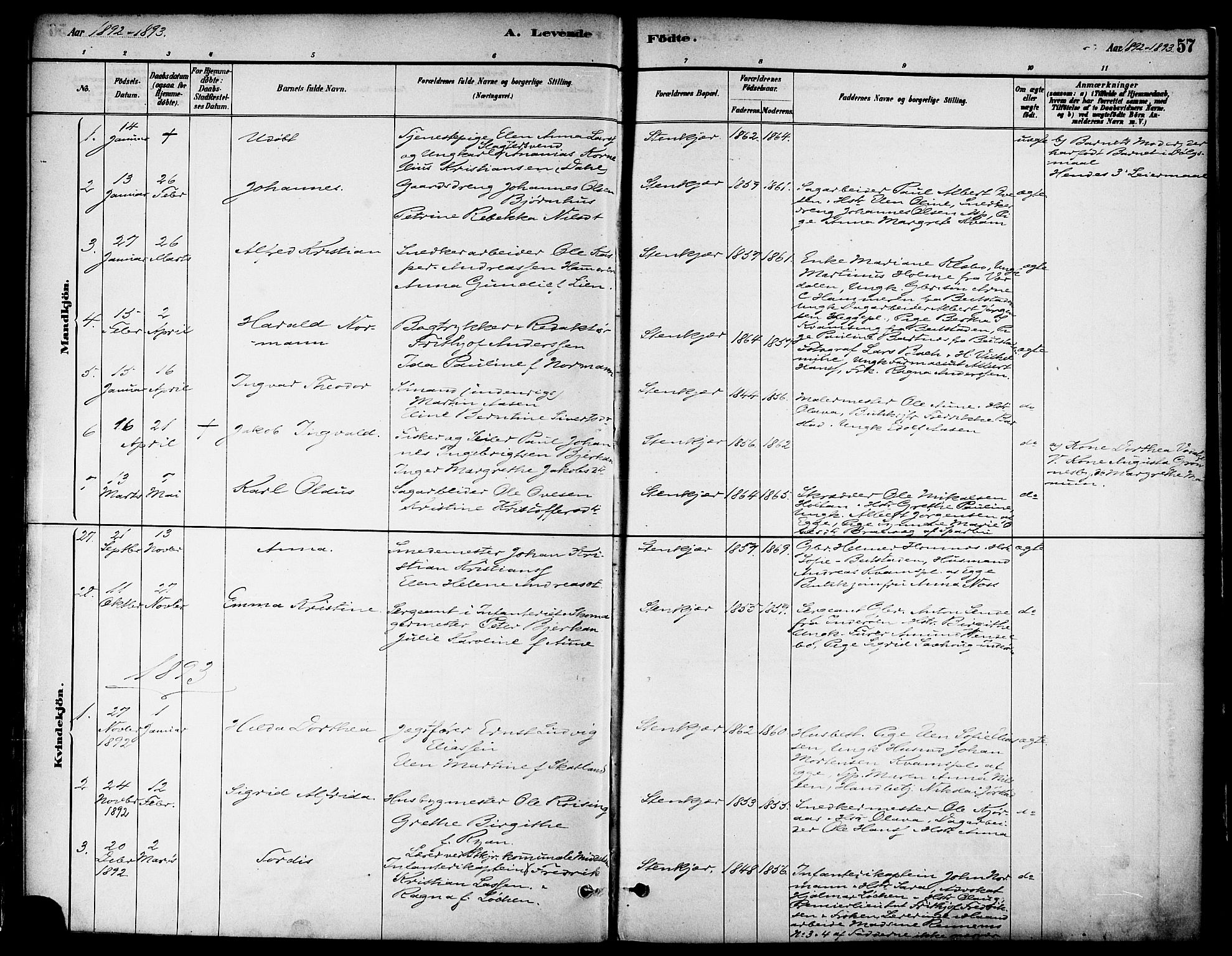 Ministerialprotokoller, klokkerbøker og fødselsregistre - Nord-Trøndelag, SAT/A-1458/739/L0371: Parish register (official) no. 739A03, 1881-1895, p. 57