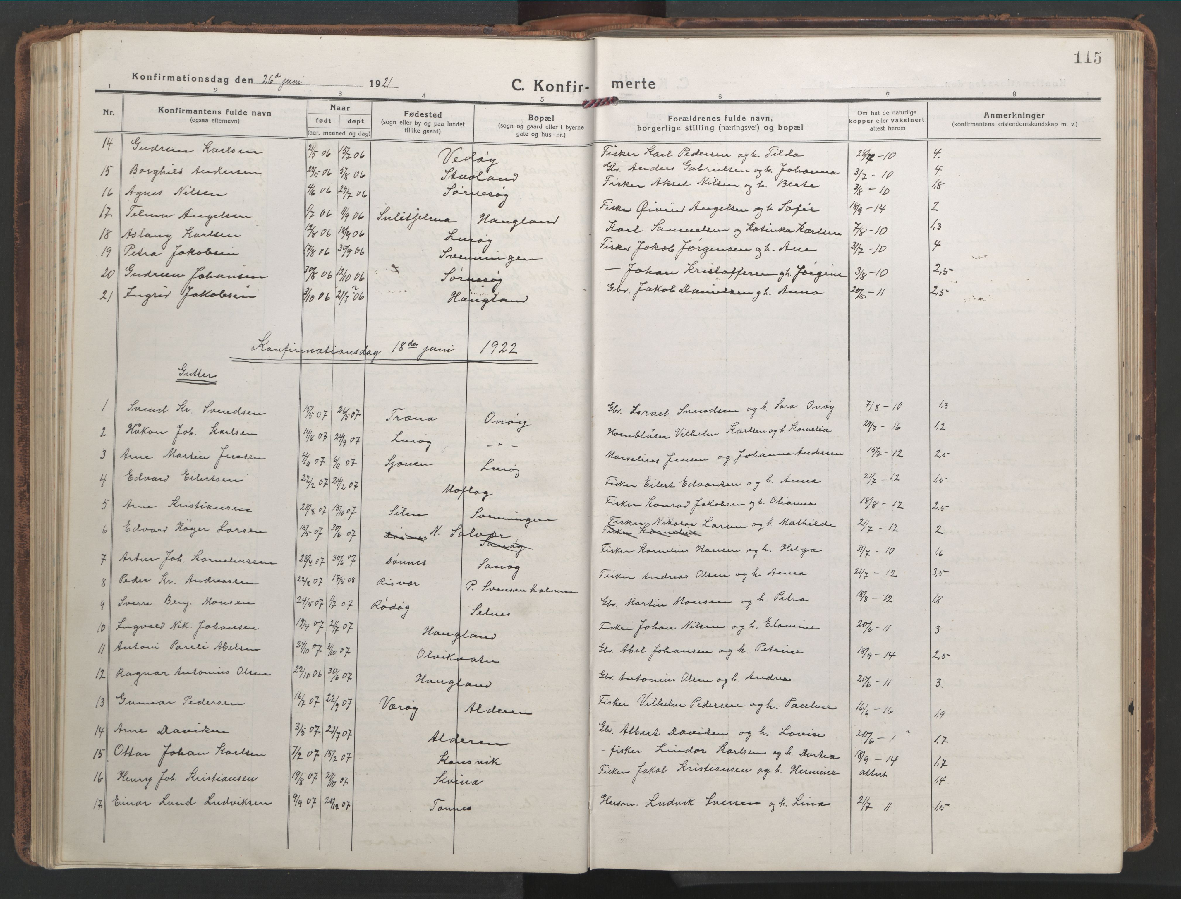 Ministerialprotokoller, klokkerbøker og fødselsregistre - Nordland, SAT/A-1459/839/L0574: Parish register (copy) no. 839C04, 1918-1950, p. 115