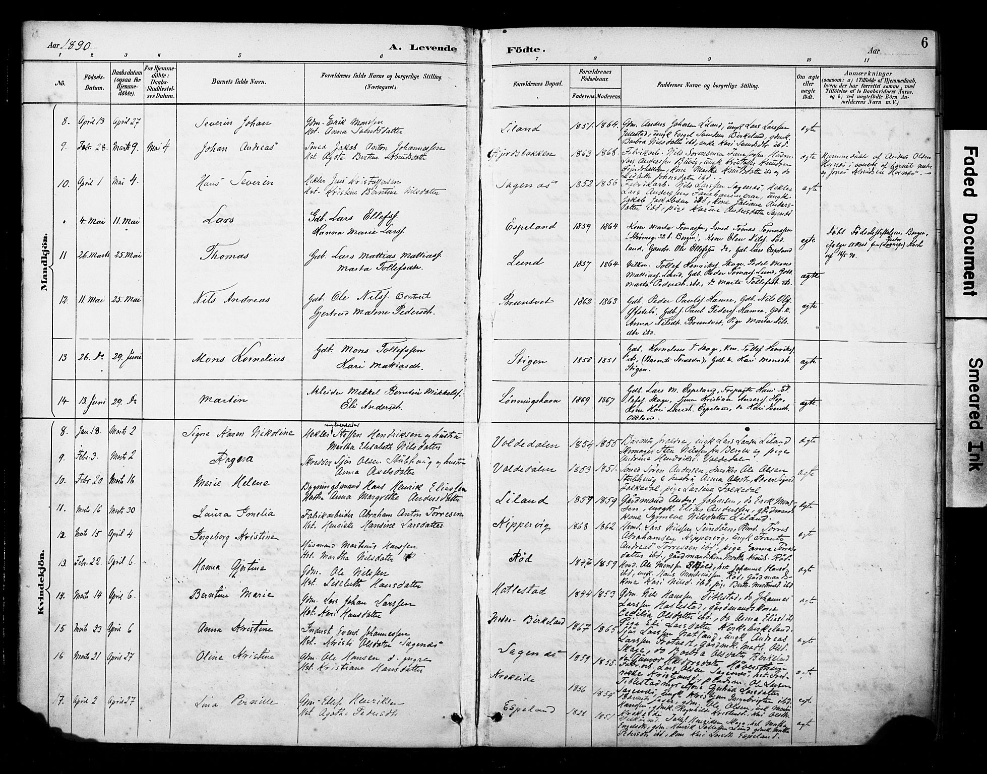 Fana Sokneprestembete, AV/SAB-A-75101/H/Haa/Haab/L0002: Parish register (official) no. B 2, 1890-1897, p. 6