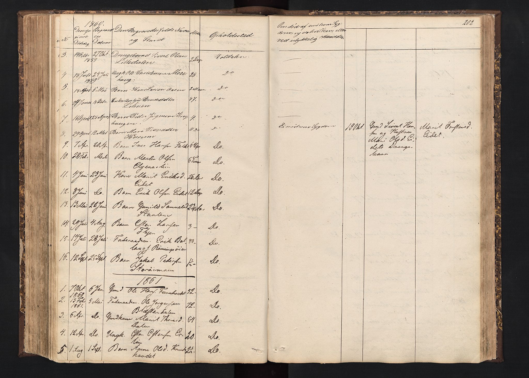 Alvdal prestekontor, SAH/PREST-060/H/Ha/Hab/L0001: Parish register (copy) no. 1, 1857-1893, p. 202