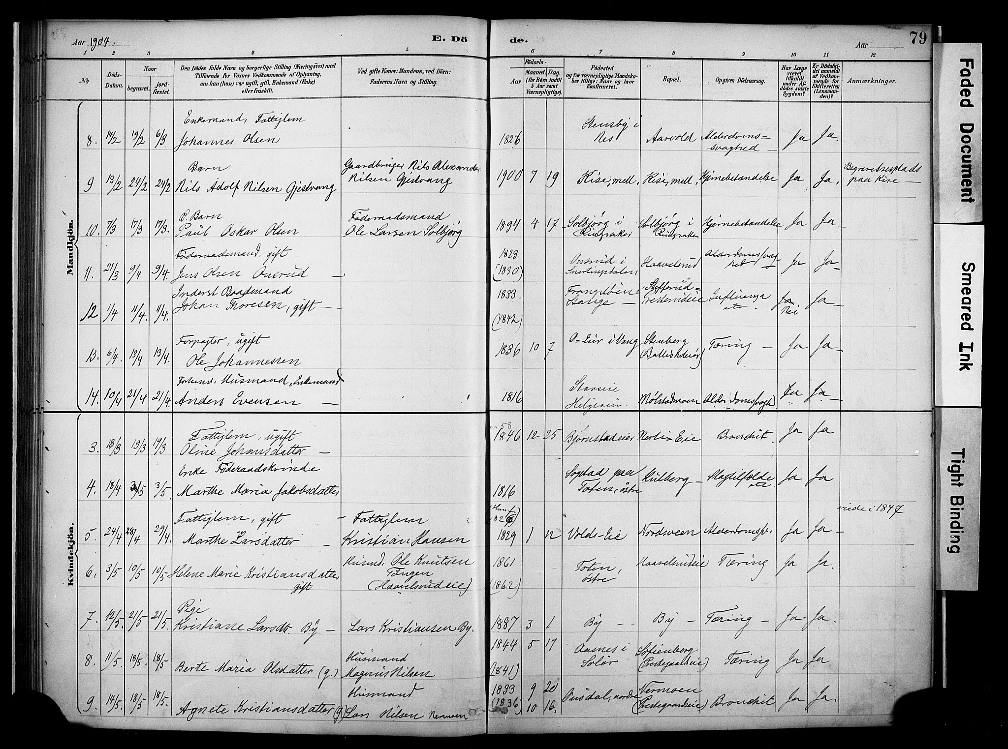 Nes prestekontor, Hedmark, AV/SAH-PREST-020/K/Ka/L0011: Parish register (official) no. 11, 1887-1905, p. 79