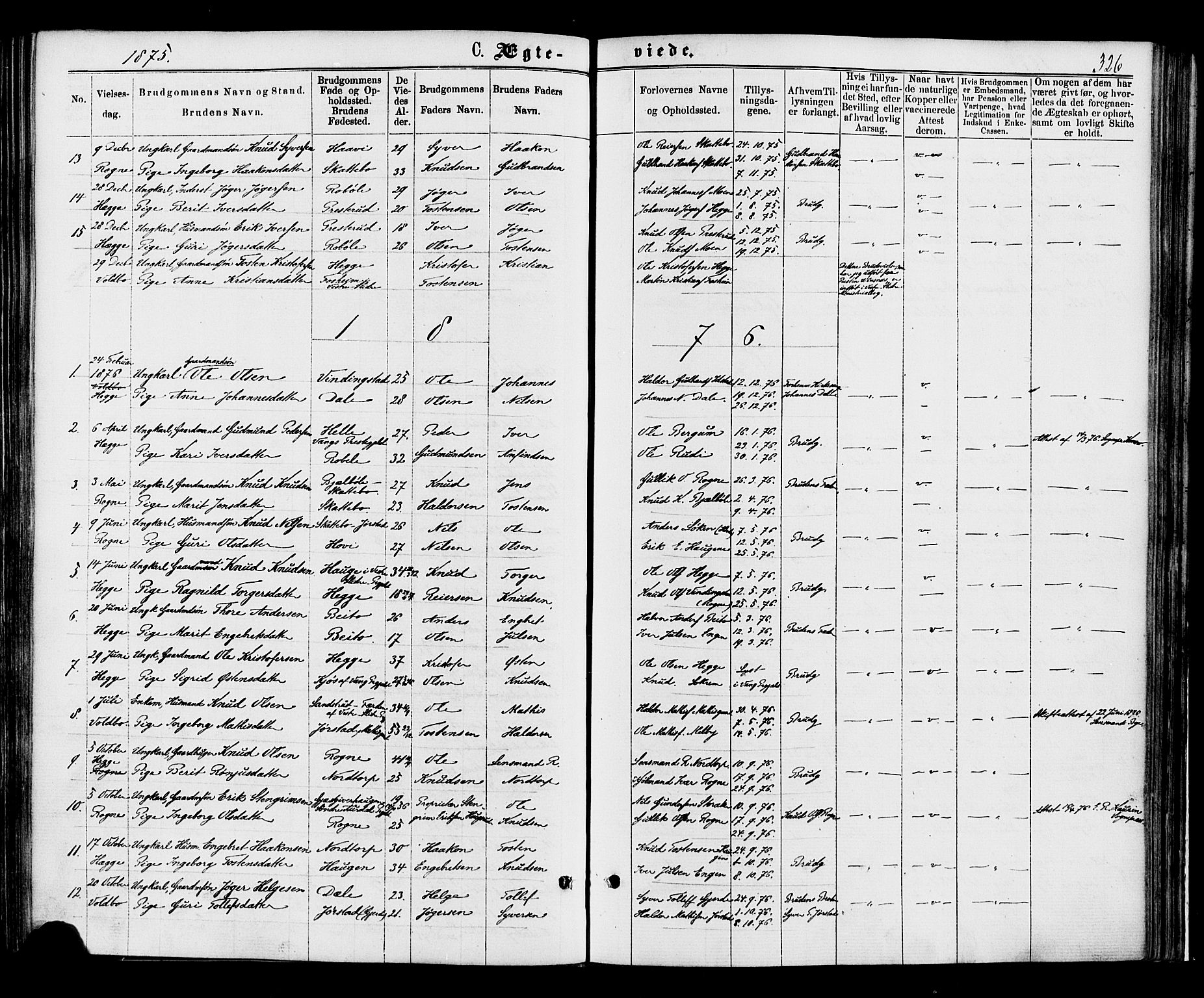 Øystre Slidre prestekontor, AV/SAH-PREST-138/H/Ha/Haa/L0002: Parish register (official) no. 2, 1874-1886, p. 326