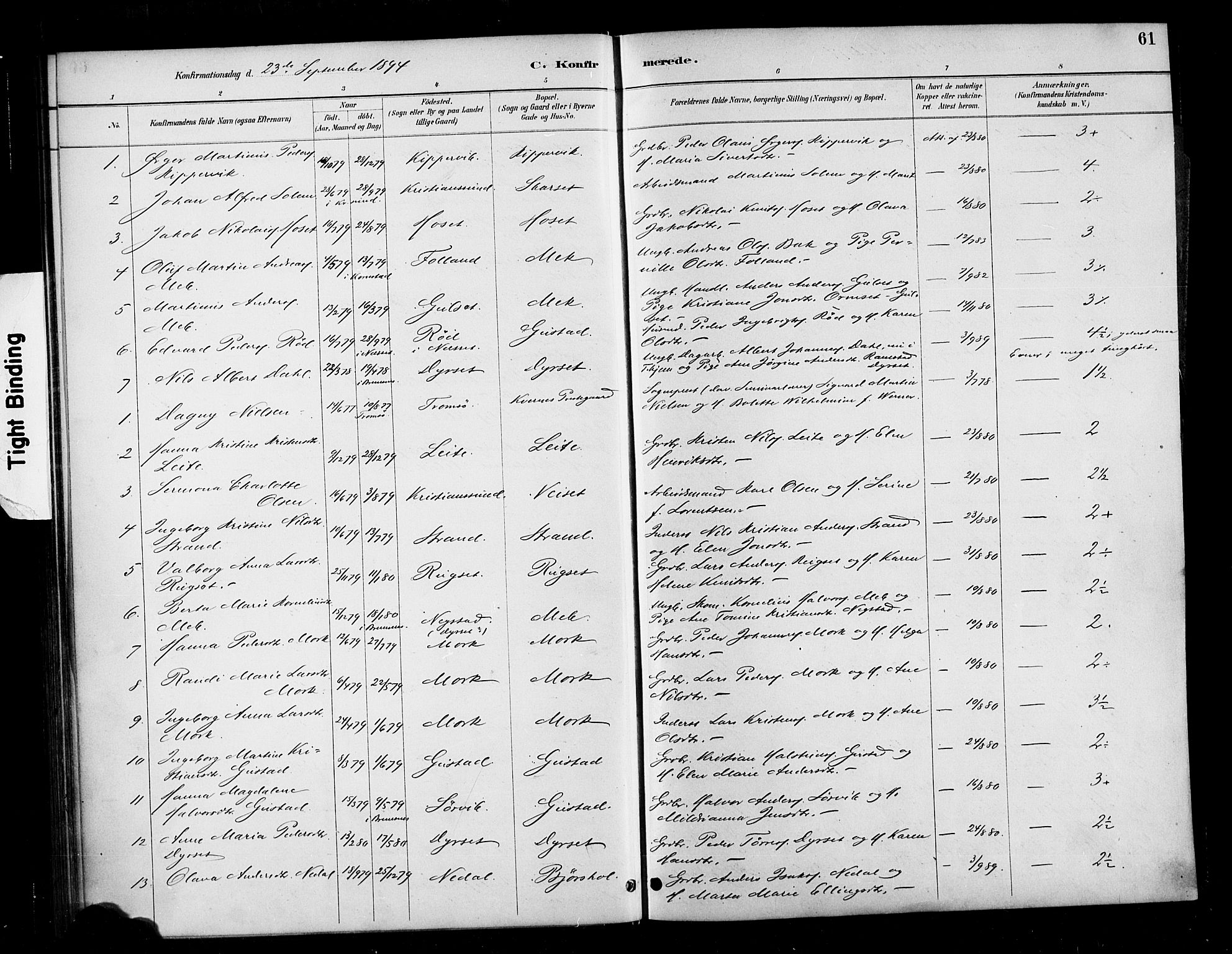 Ministerialprotokoller, klokkerbøker og fødselsregistre - Møre og Romsdal, SAT/A-1454/568/L0809: Parish register (official) no. 568A13, 1884-1900, p. 61