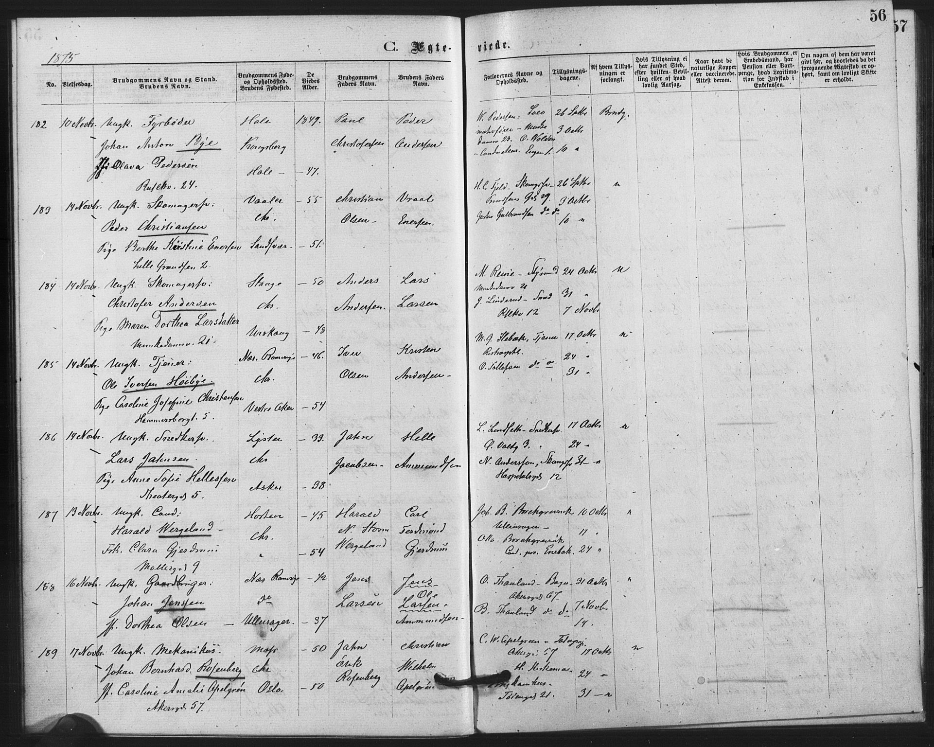 Trefoldighet prestekontor Kirkebøker, AV/SAO-A-10882/F/Fc/L0002: Parish register (official) no. III 2, 1874-1881, p. 56