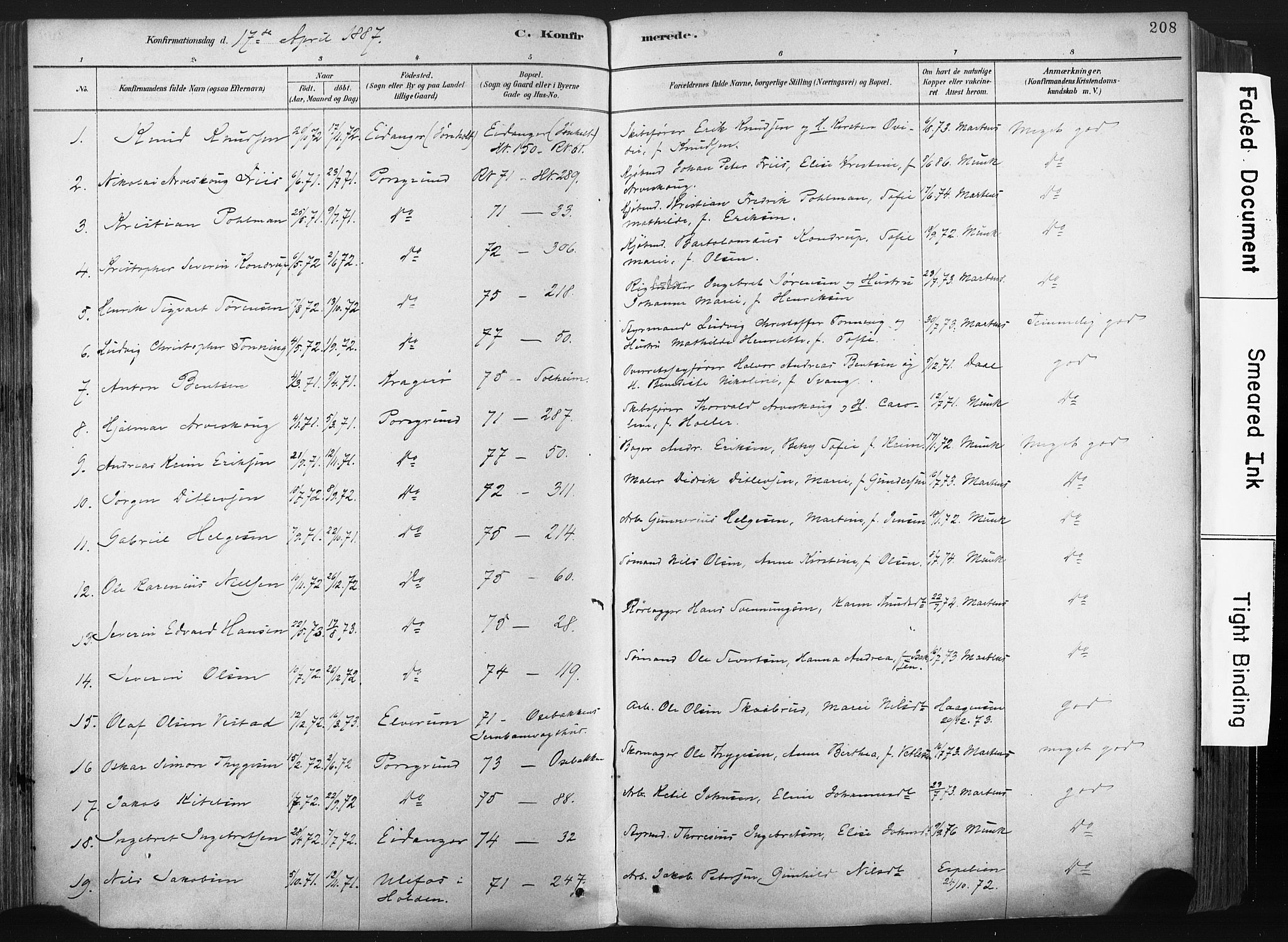 Porsgrunn kirkebøker , SAKO/A-104/F/Fa/L0008: Parish register (official) no. 8, 1878-1895, p. 208
