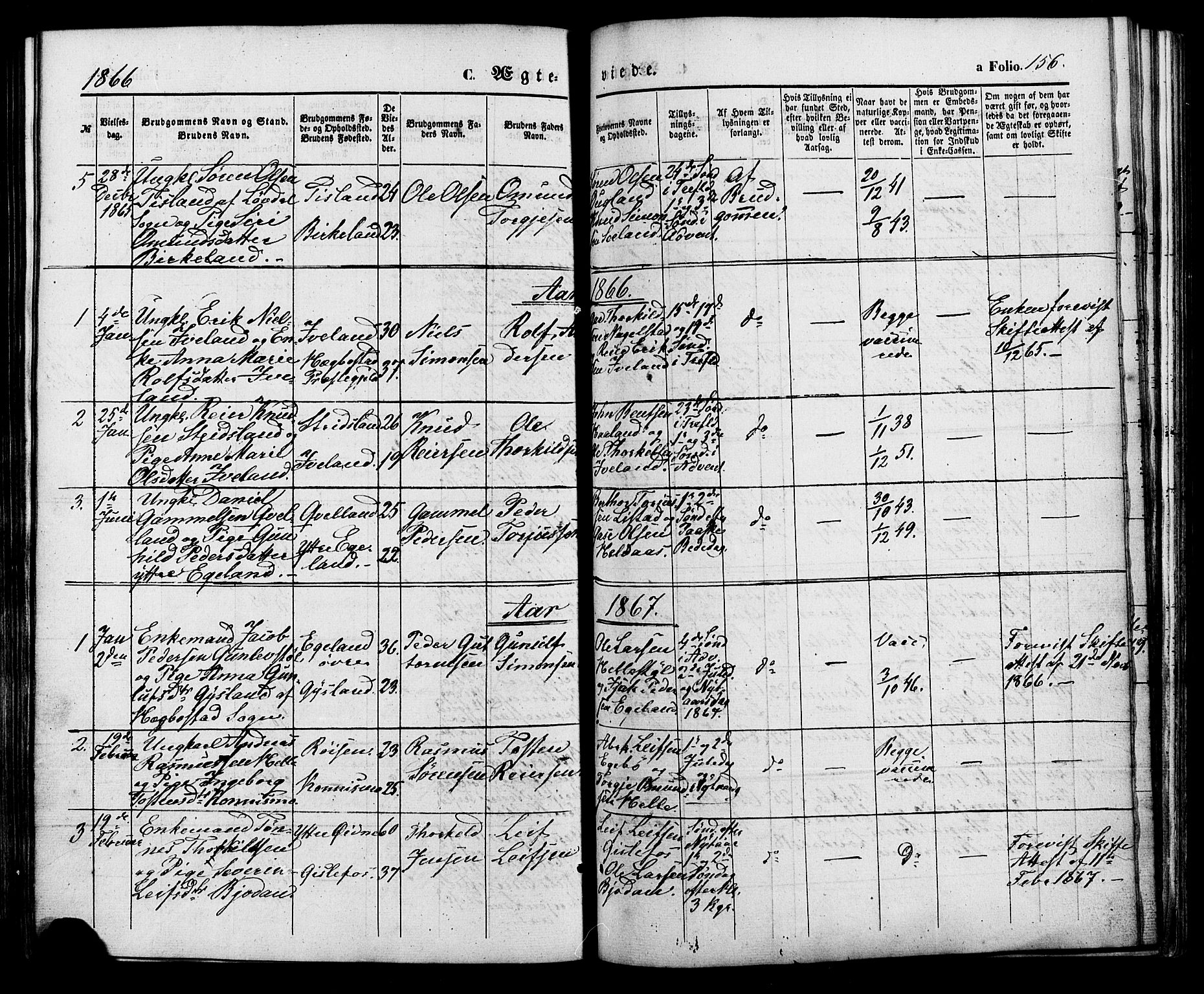 Nord-Audnedal sokneprestkontor, AV/SAK-1111-0032/F/Fa/Faa/L0002: Parish register (official) no. A 2, 1857-1882, p. 156