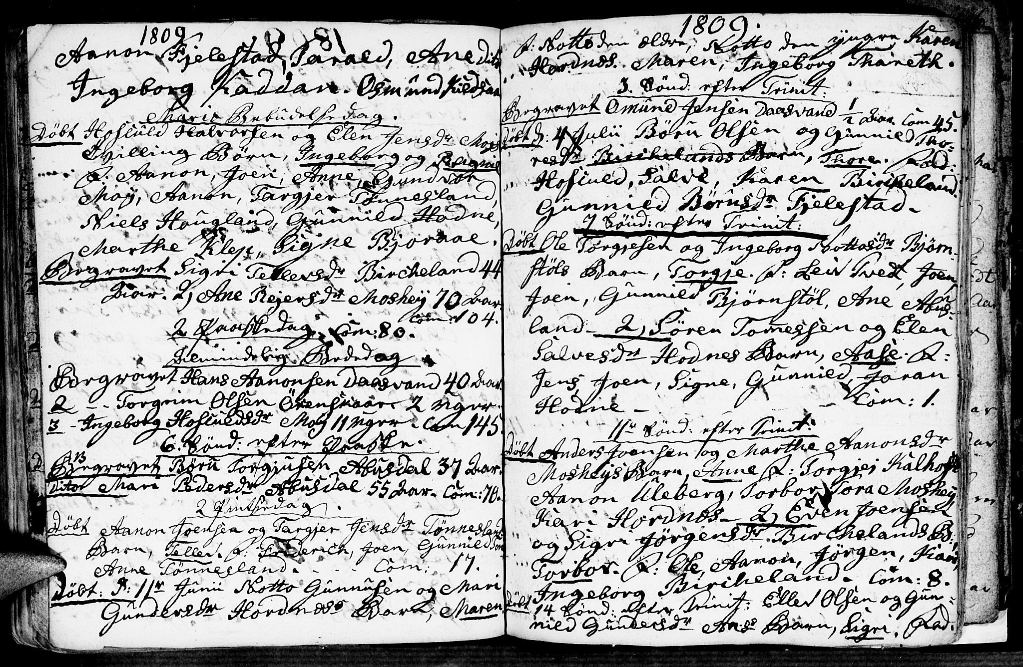 Evje sokneprestkontor, SAK/1111-0008/F/Fa/Fab/L0002: Parish register (official) no. A 2, 1765-1816, p. 115