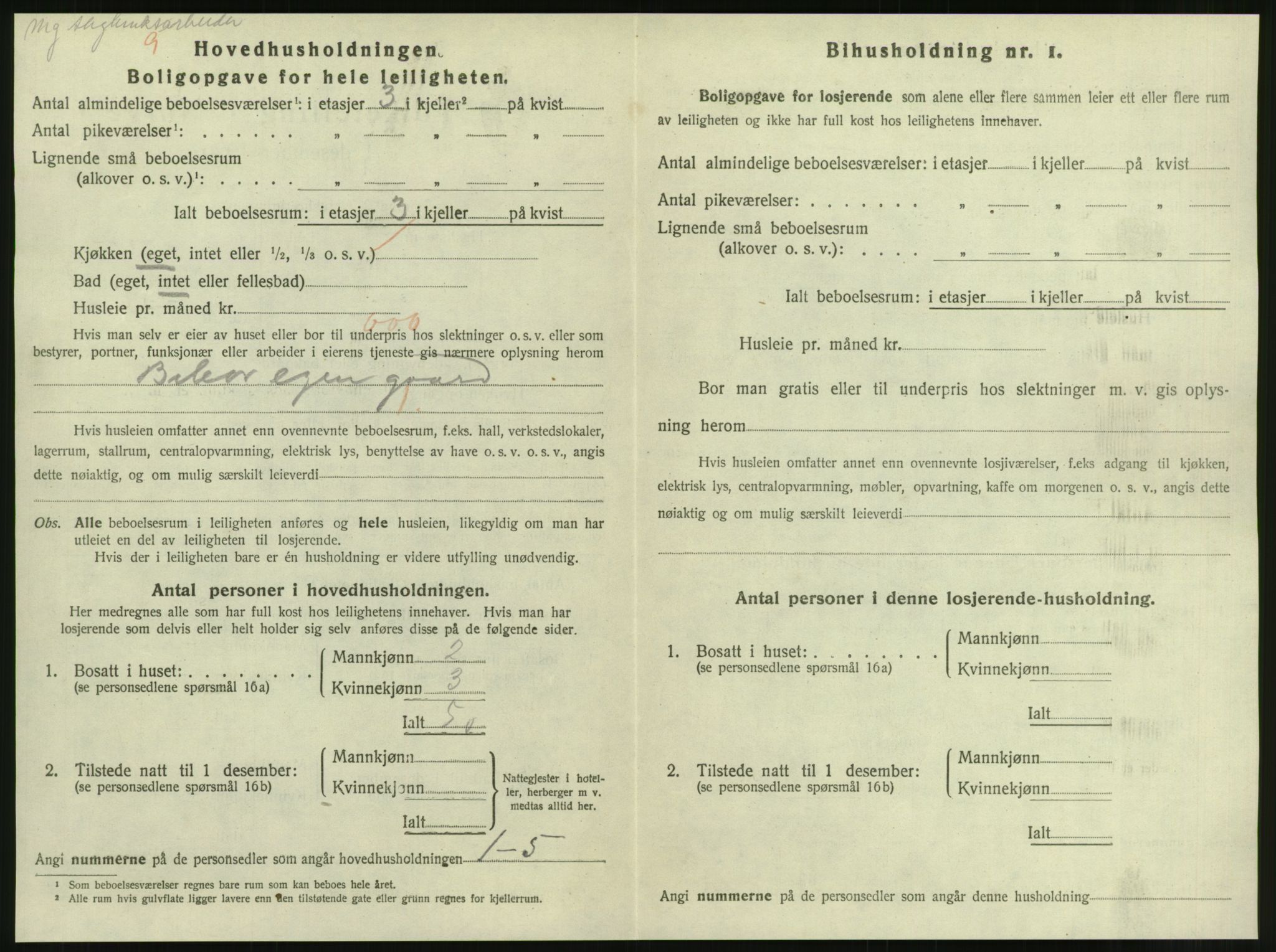 SAT, 1920 census for Steinkjer, 1920, p. 1121