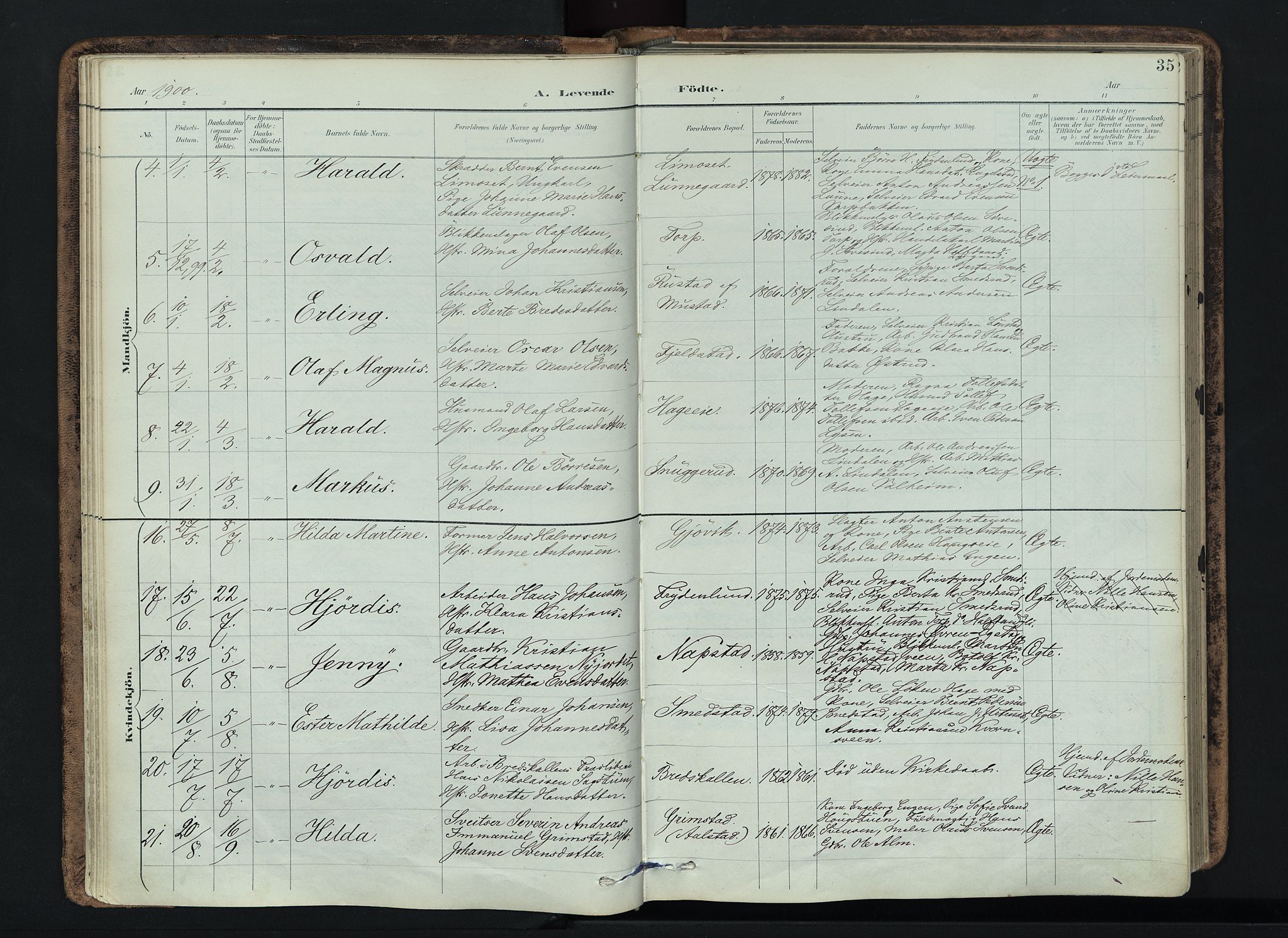 Vardal prestekontor, SAH/PREST-100/H/Ha/Haa/L0019: Parish register (official) no. 19, 1893-1907, p. 35