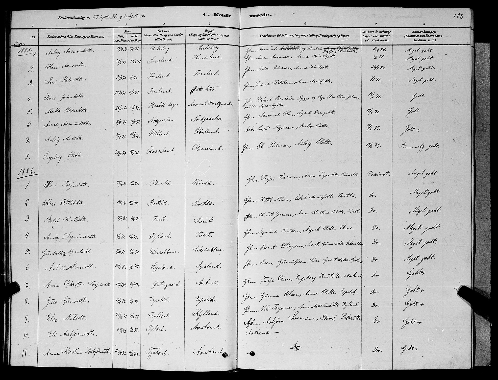 Åseral sokneprestkontor, AV/SAK-1111-0051/F/Fb/L0002: Parish register (copy) no. B 2, 1878-1899, p. 106