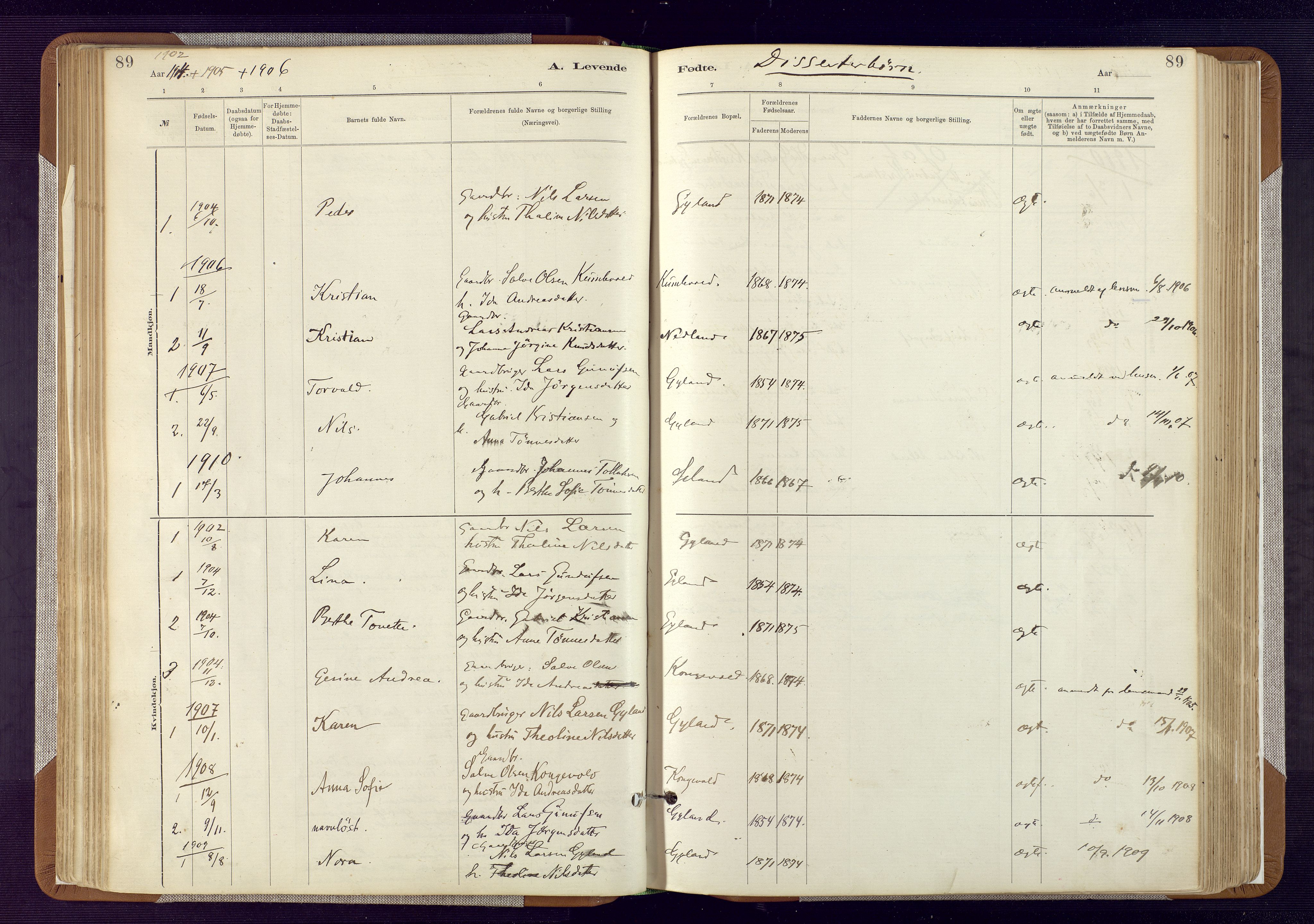 Bakke sokneprestkontor, SAK/1111-0002/F/Fa/Fab/L0003: Parish register (official) no. A 3, 1884-1921, p. 89