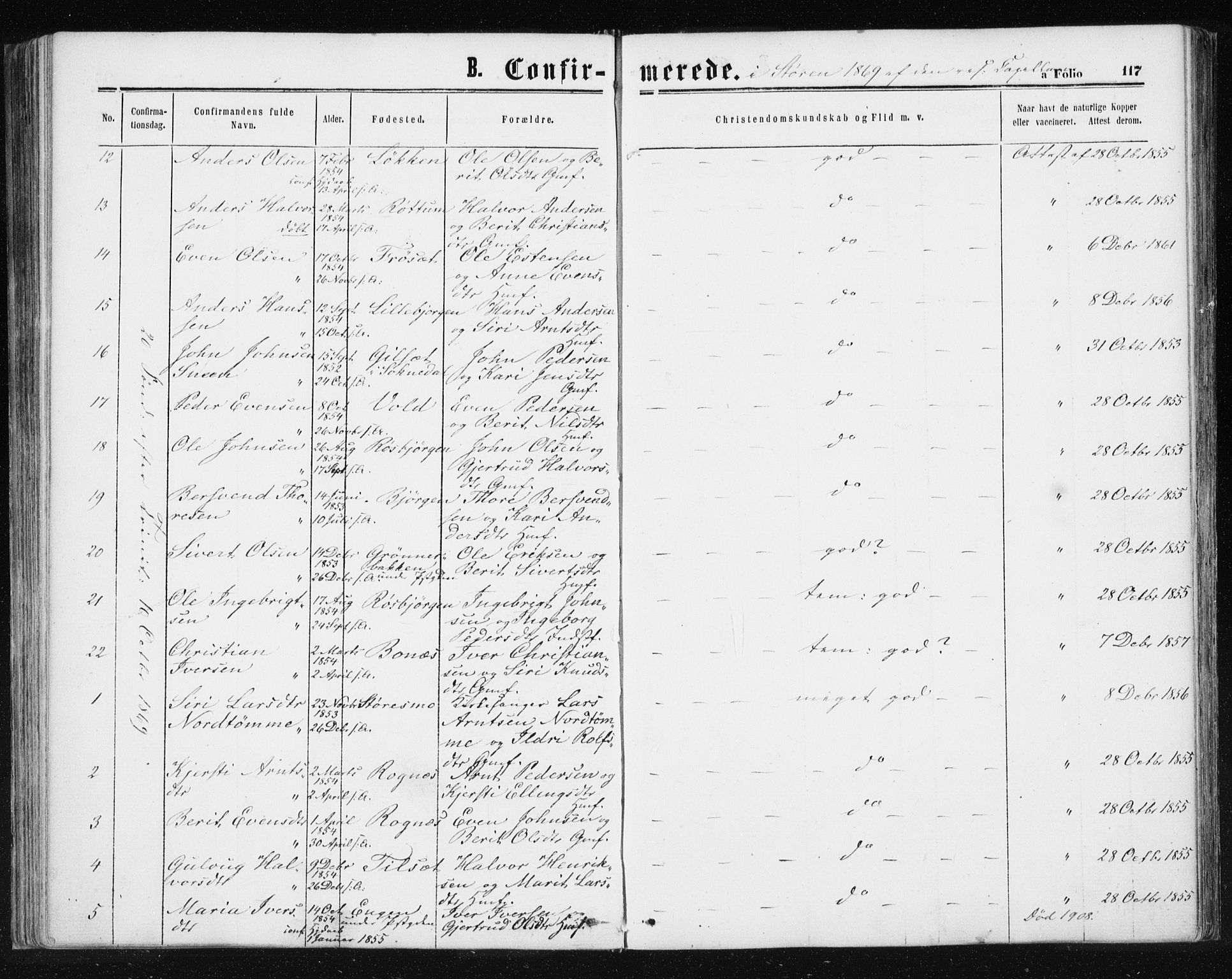 Ministerialprotokoller, klokkerbøker og fødselsregistre - Sør-Trøndelag, SAT/A-1456/687/L1001: Parish register (official) no. 687A07, 1863-1878, p. 117