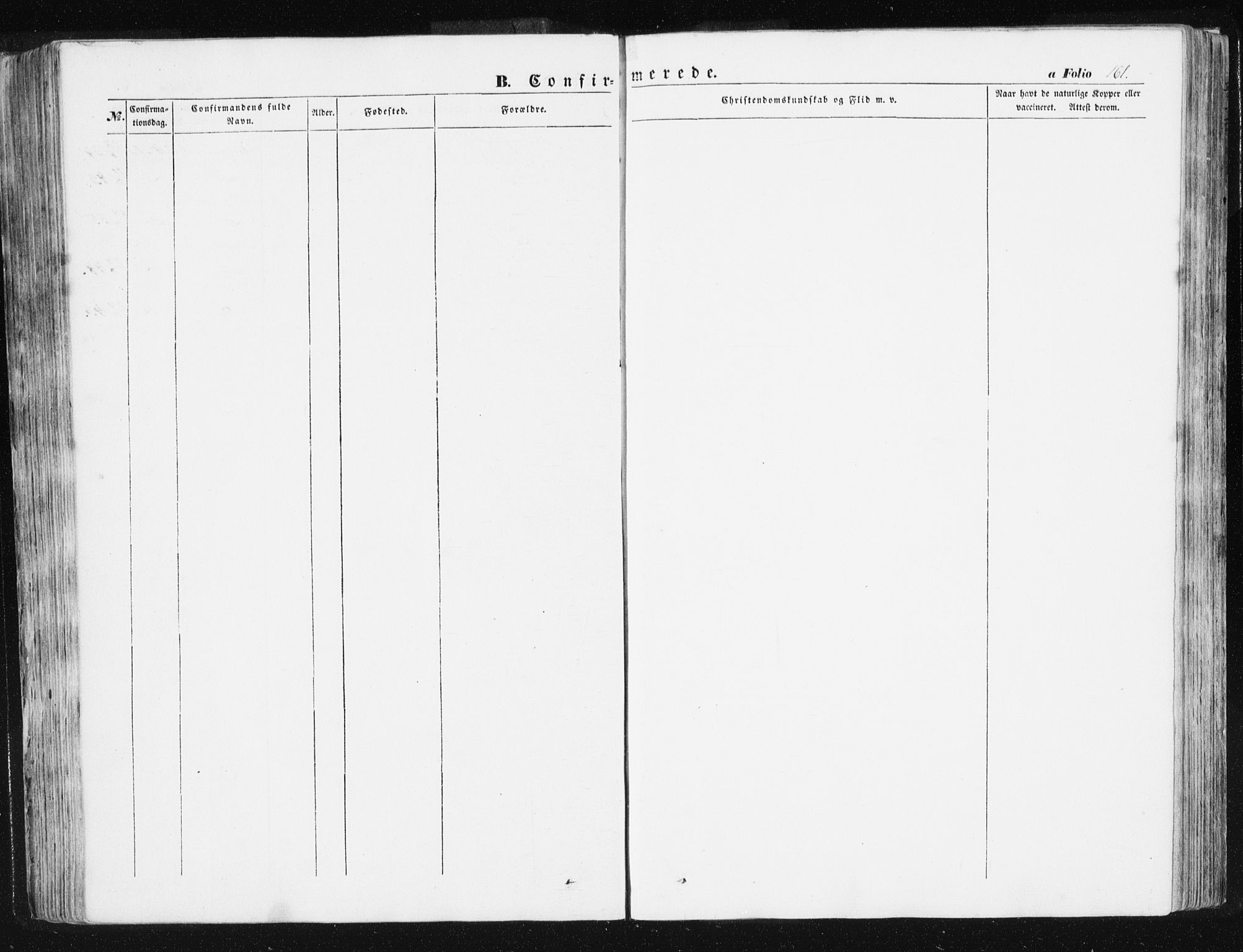 Ministerialprotokoller, klokkerbøker og fødselsregistre - Sør-Trøndelag, AV/SAT-A-1456/612/L0376: Parish register (official) no. 612A08, 1846-1859, p. 161