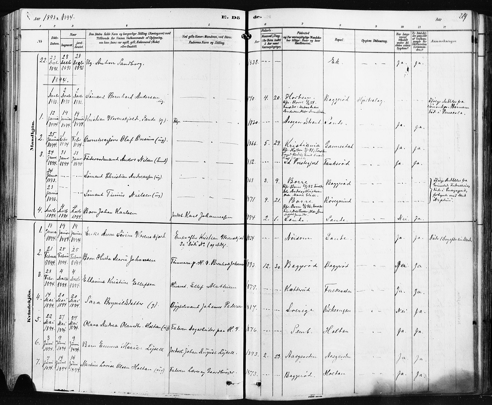 Borre kirkebøker, SAKO/A-338/F/Fa/L0009: Parish register (official) no. I 9, 1878-1896, p. 219