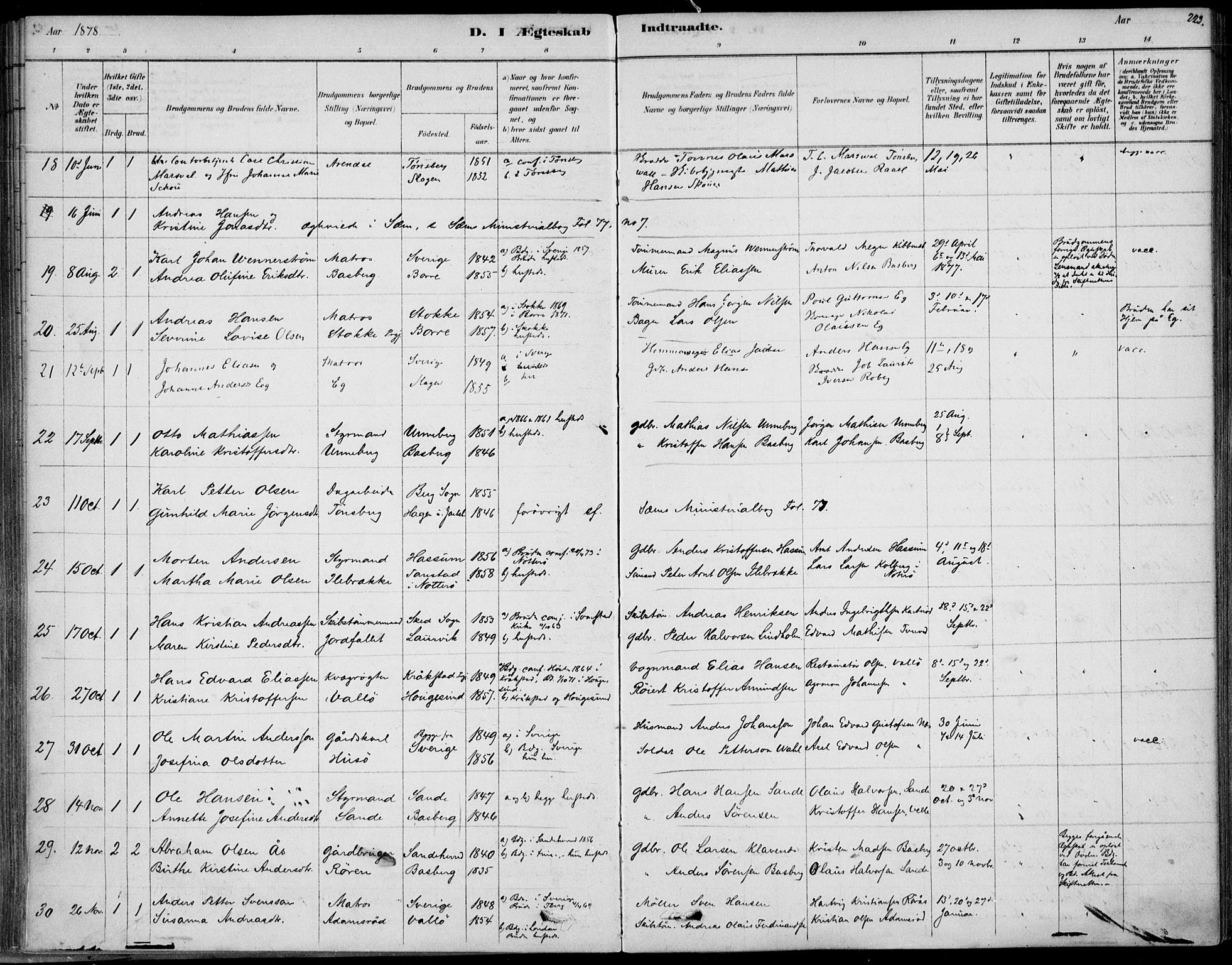 Sem kirkebøker, AV/SAKO-A-5/F/Fb/L0004: Parish register (official) no. II 4, 1878-1891, p. 223