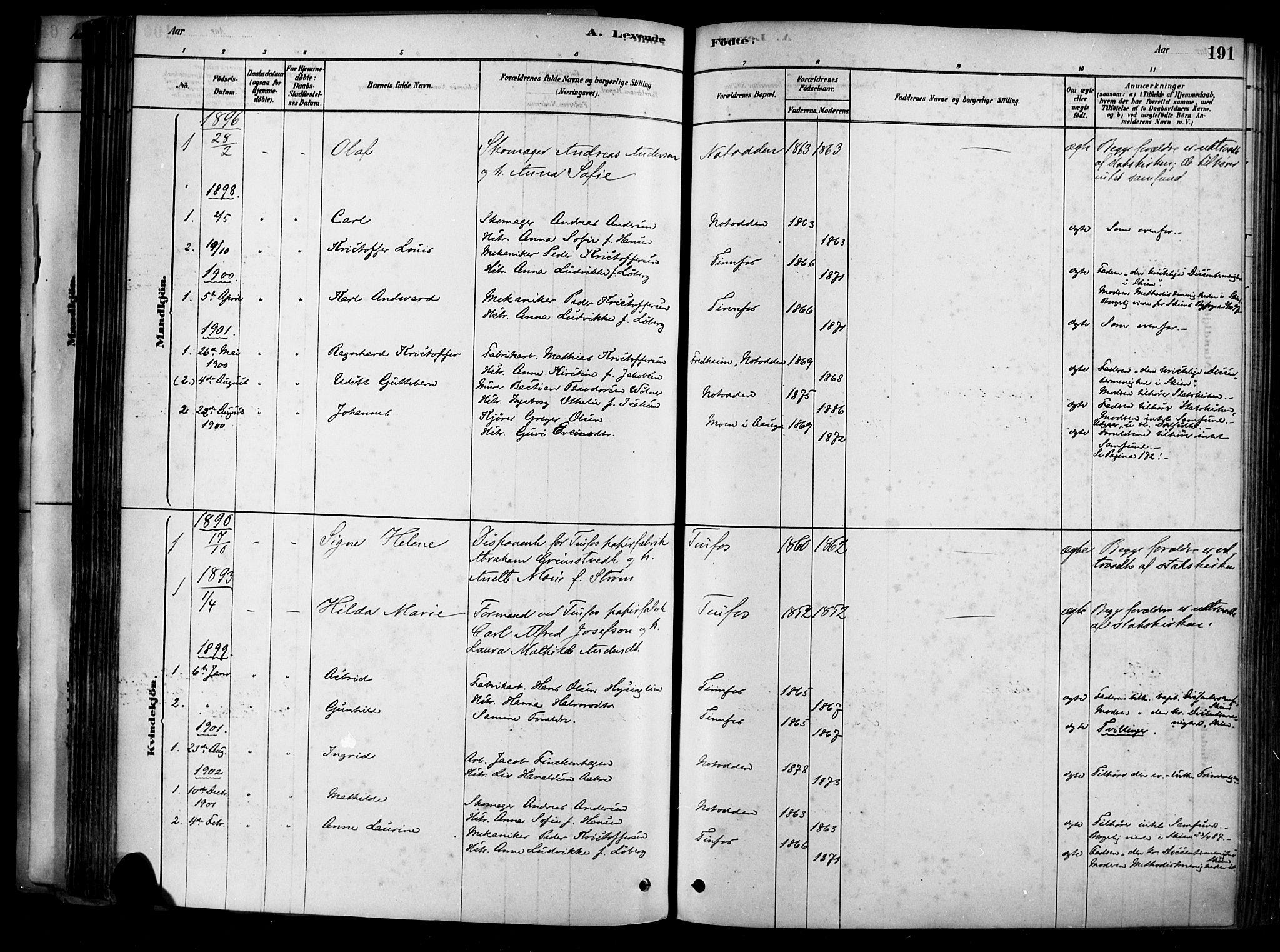 Heddal kirkebøker, SAKO/A-268/F/Fa/L0008: Parish register (official) no. I 8, 1878-1903, p. 191