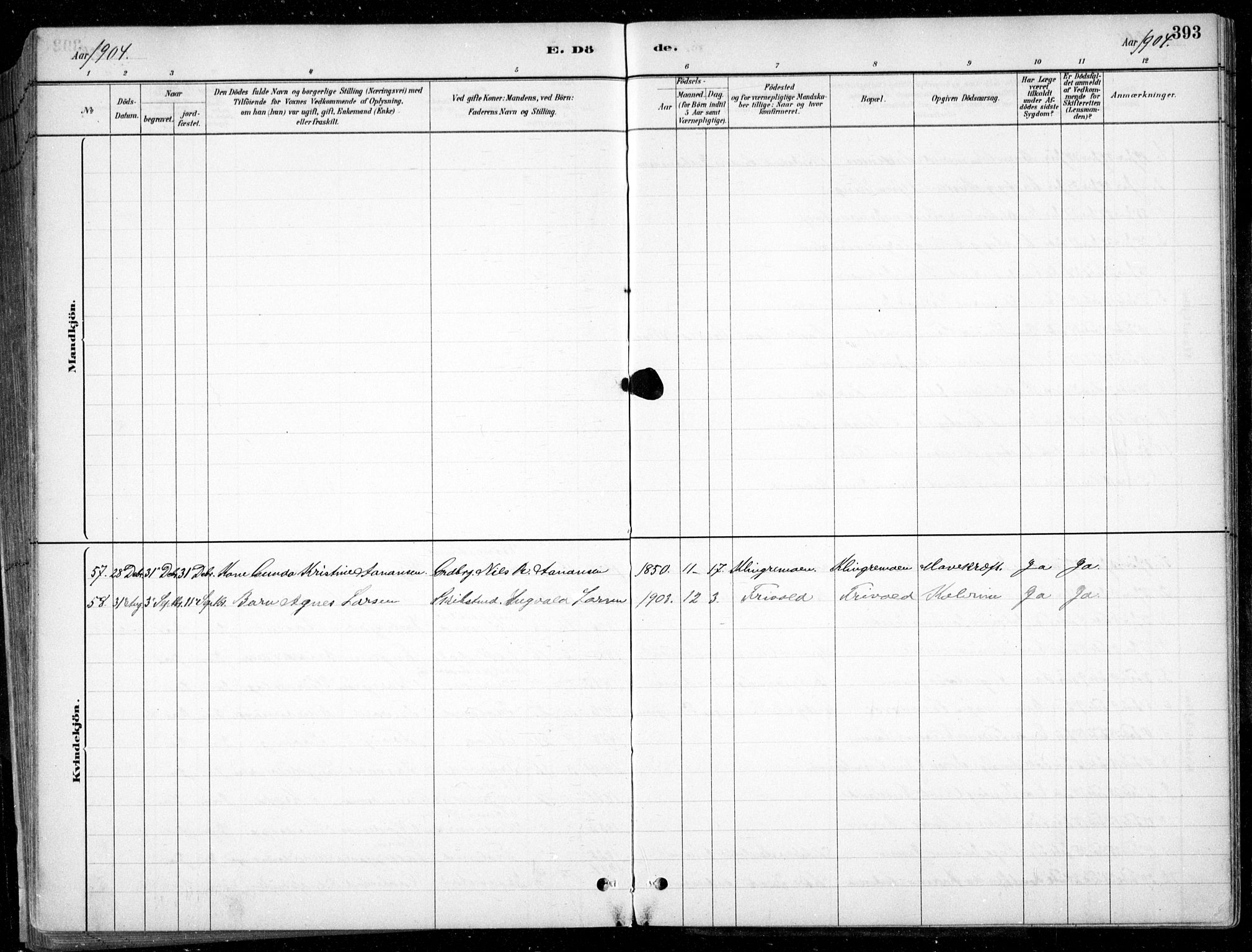 Fjære sokneprestkontor, AV/SAK-1111-0011/F/Fb/L0011: Parish register (copy) no. B 11, 1881-1905, p. 393