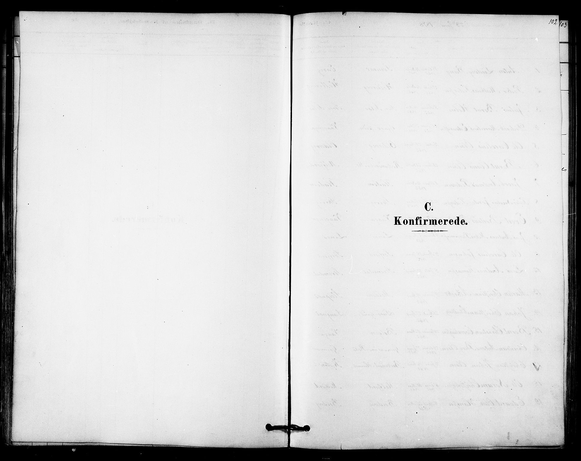 Ministerialprotokoller, klokkerbøker og fødselsregistre - Nordland, AV/SAT-A-1459/841/L0609: Parish register (official) no. 841A12, 1878-1901, p. 102