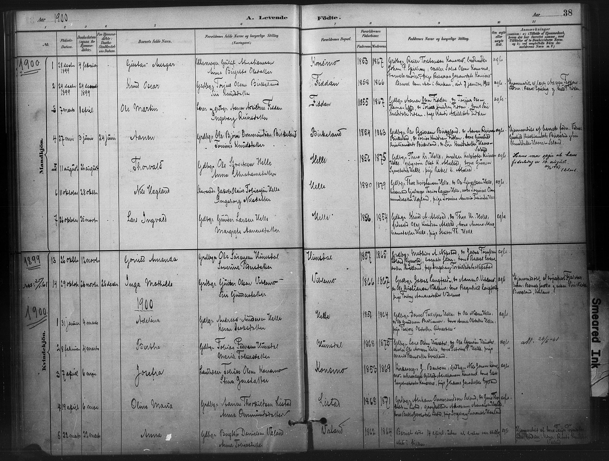 Nord-Audnedal sokneprestkontor, AV/SAK-1111-0032/F/Fa/Faa/L0003: Parish register (official) no. A 3, 1882-1900, p. 38