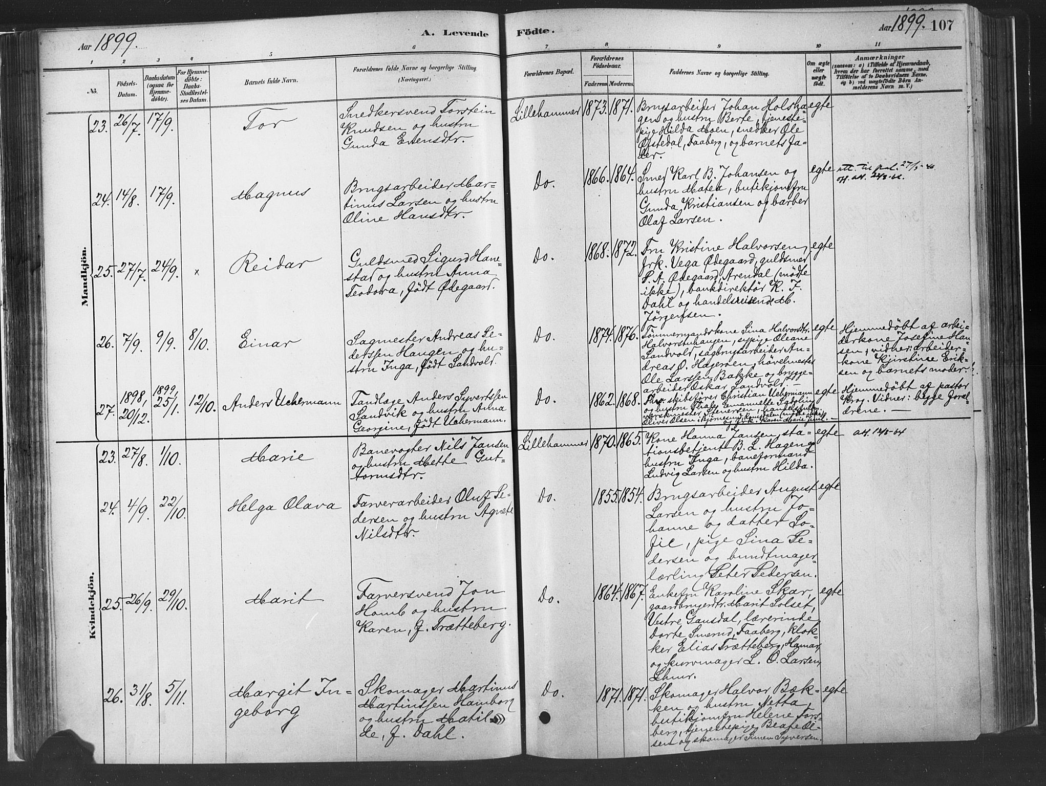 Fåberg prestekontor, AV/SAH-PREST-086/H/Ha/Haa/L0010: Parish register (official) no. 10, 1879-1900, p. 107