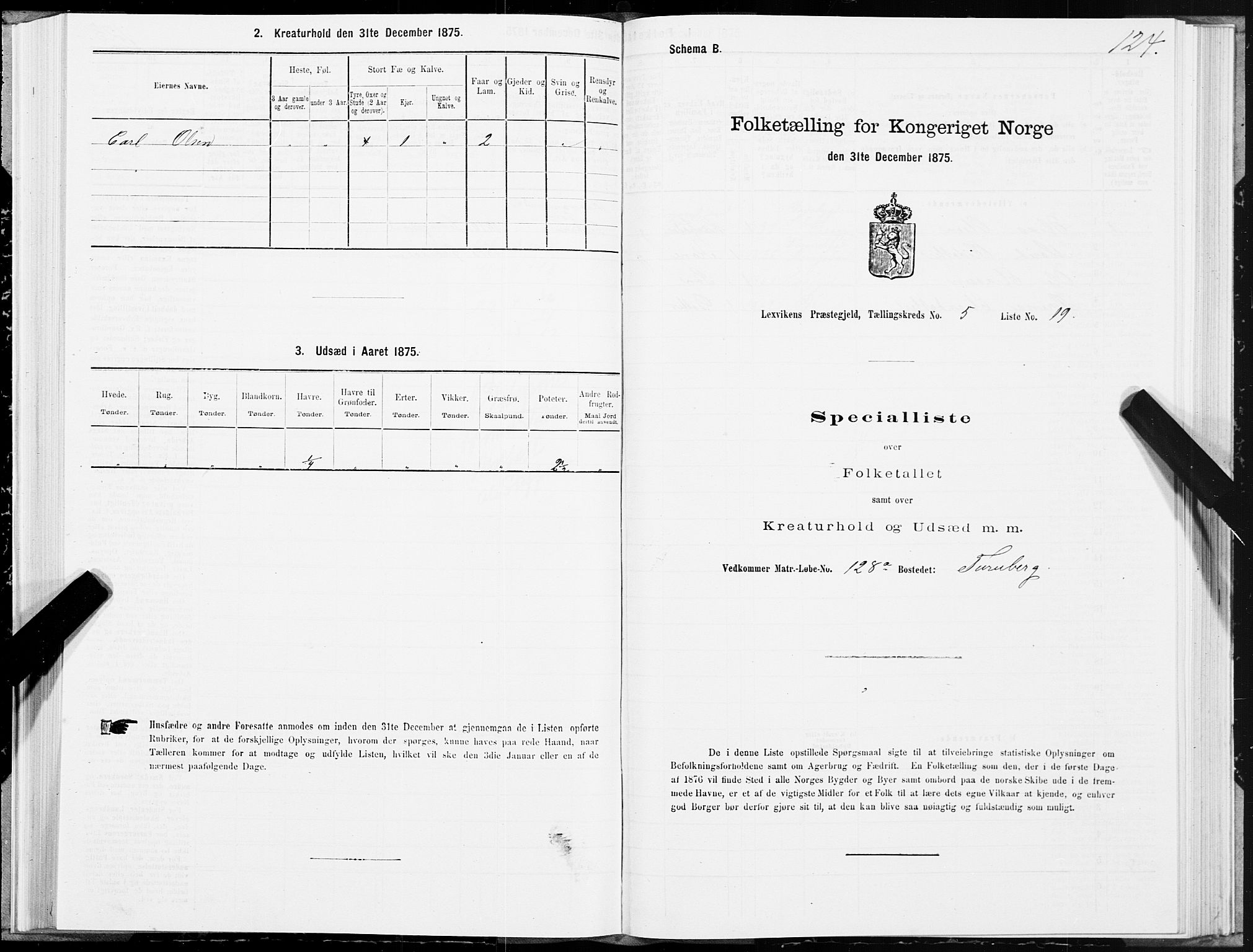 SAT, 1875 census for 1718P Leksvik, 1875, p. 3124