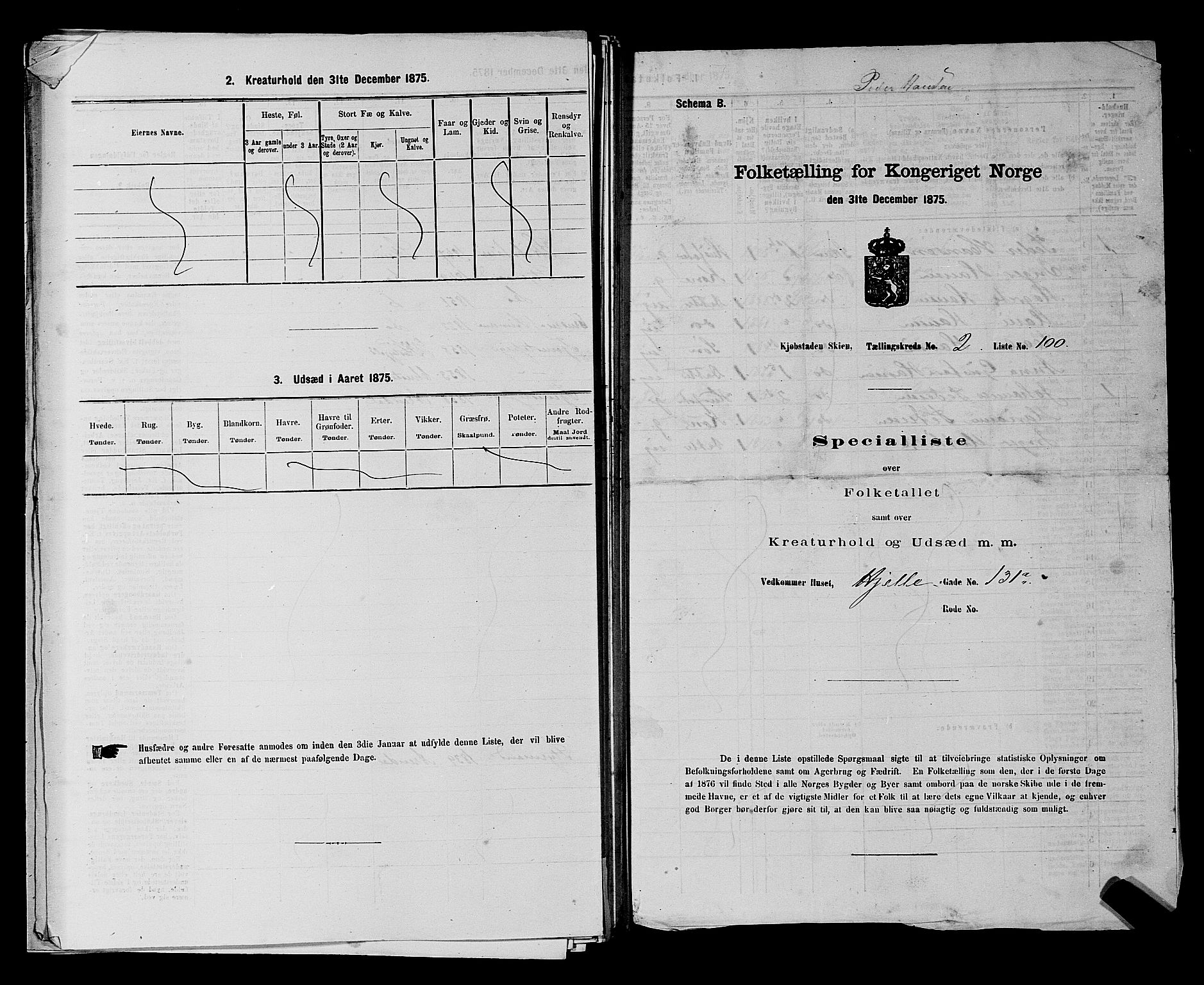 SAKO, 1875 census for 0806P Skien, 1875, p. 464