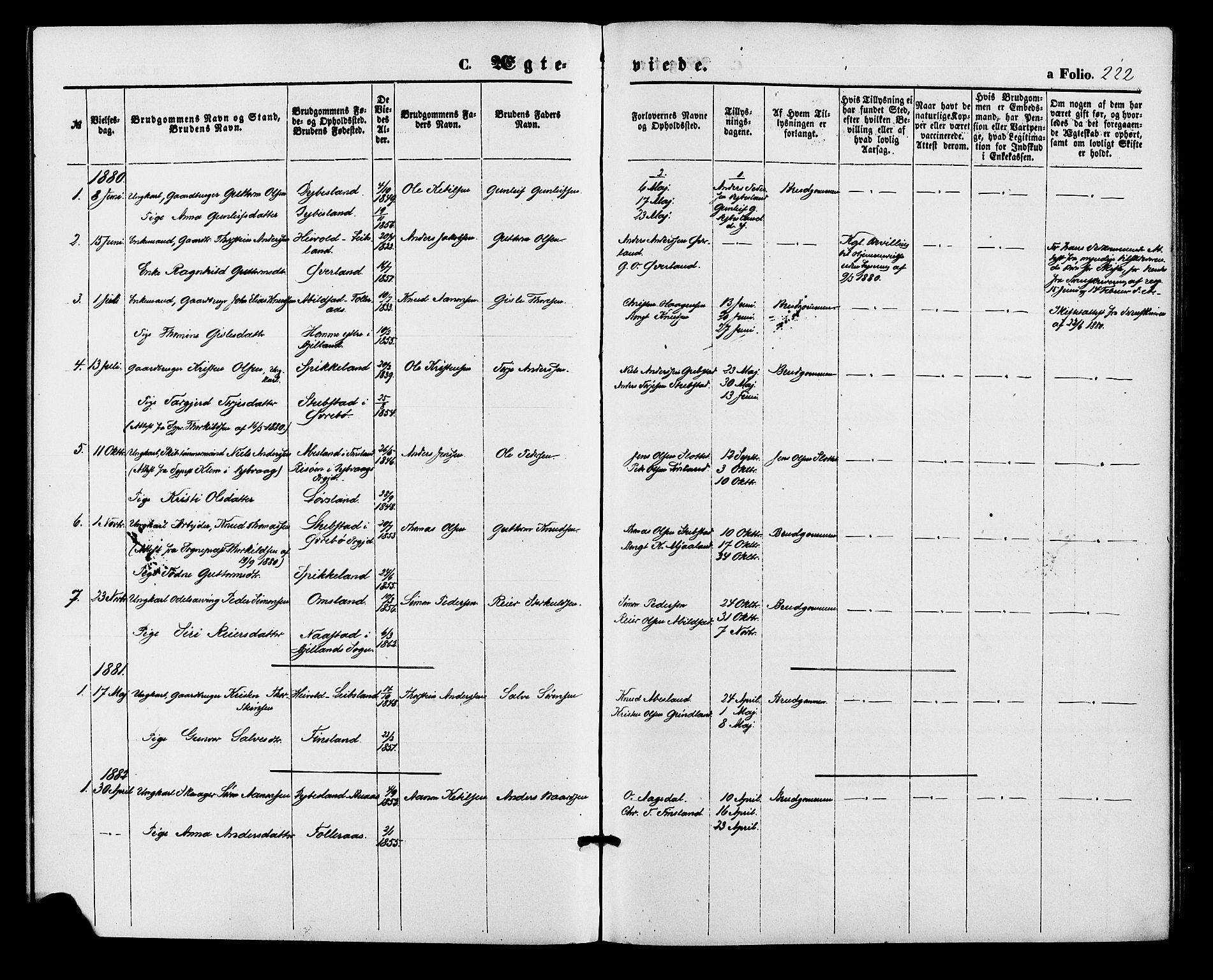 Bjelland sokneprestkontor, AV/SAK-1111-0005/F/Fa/Fab/L0003: Parish register (official) no. A 3, 1870-1887, p. 222