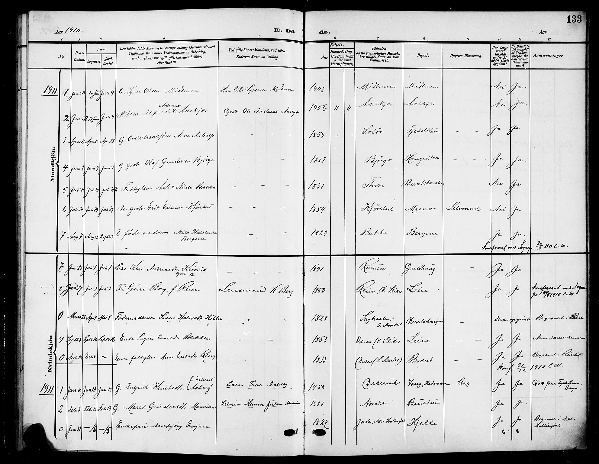 Nord-Aurdal prestekontor, SAH/PREST-132/H/Ha/Hab/L0012: Parish register (copy) no. 12, 1907-1920, p. 133