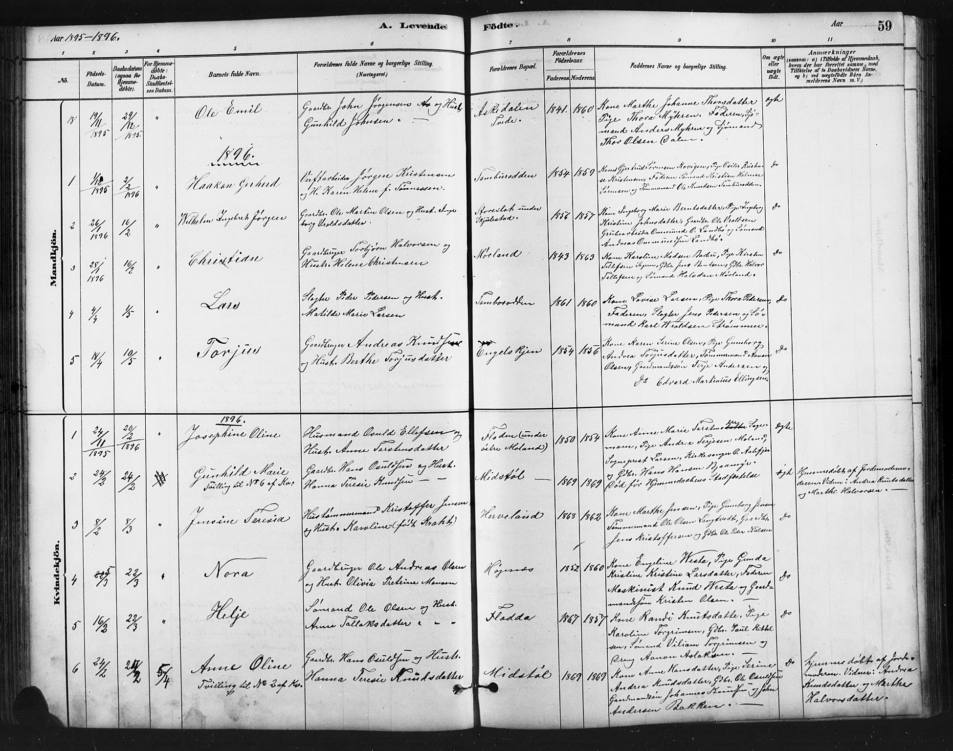 Austre Moland sokneprestkontor, SAK/1111-0001/F/Fb/Fba/L0003: Parish register (copy) no. B 3, 1879-1914, p. 59