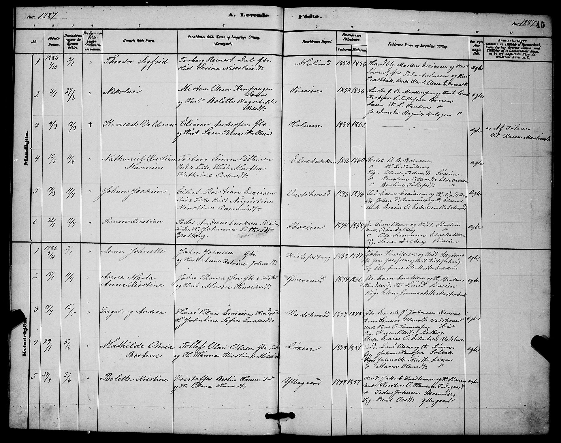 Ibestad sokneprestembete, AV/SATØ-S-0077/H/Ha/Hab/L0014klokker: Parish register (copy) no. 14, 1880-1887, p. 45