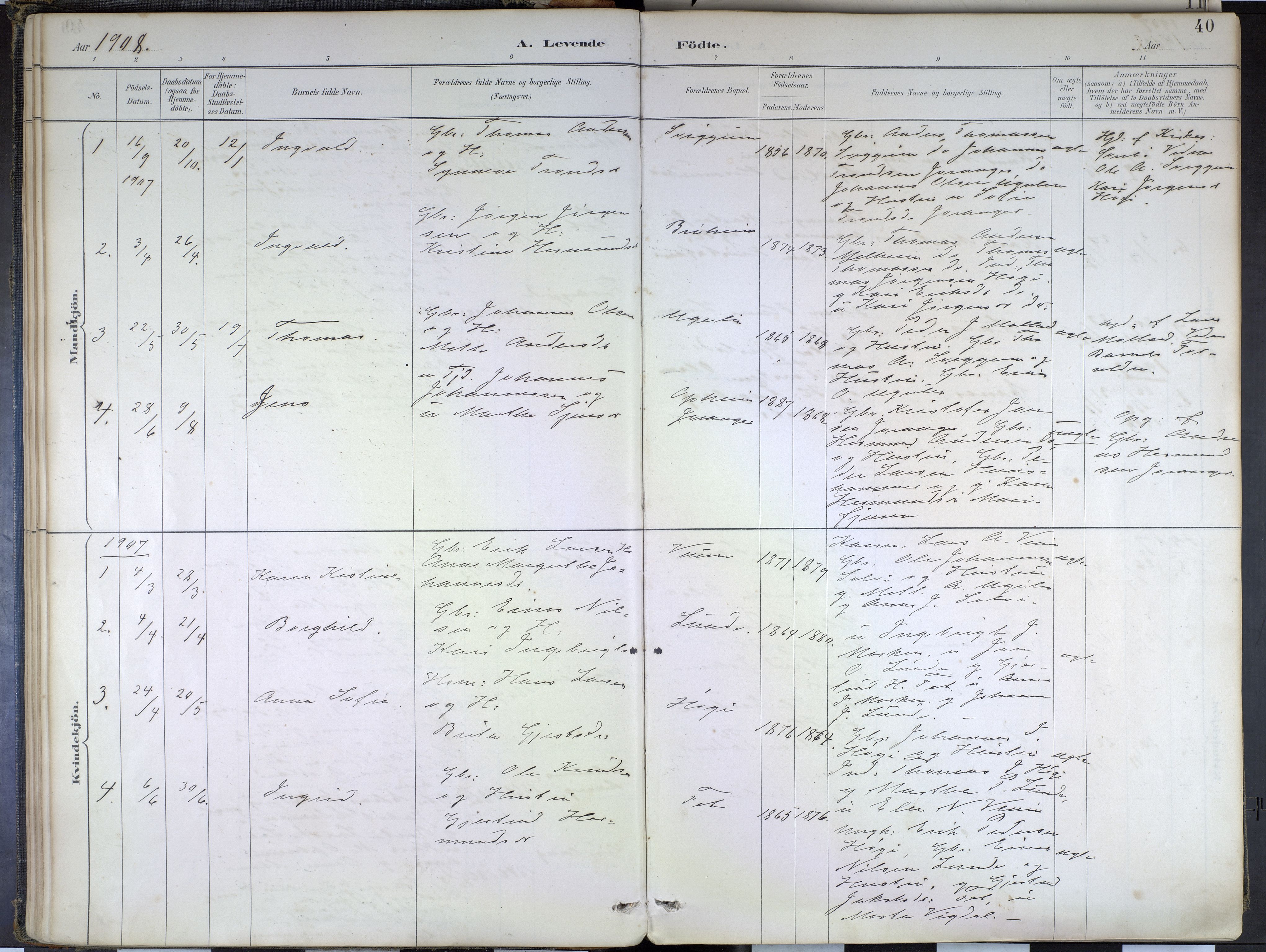 Hafslo sokneprestembete, SAB/A-80301/H/Haa/Haad/L0001: Parish register (official) no. D 1, 1886-1934, p. 40