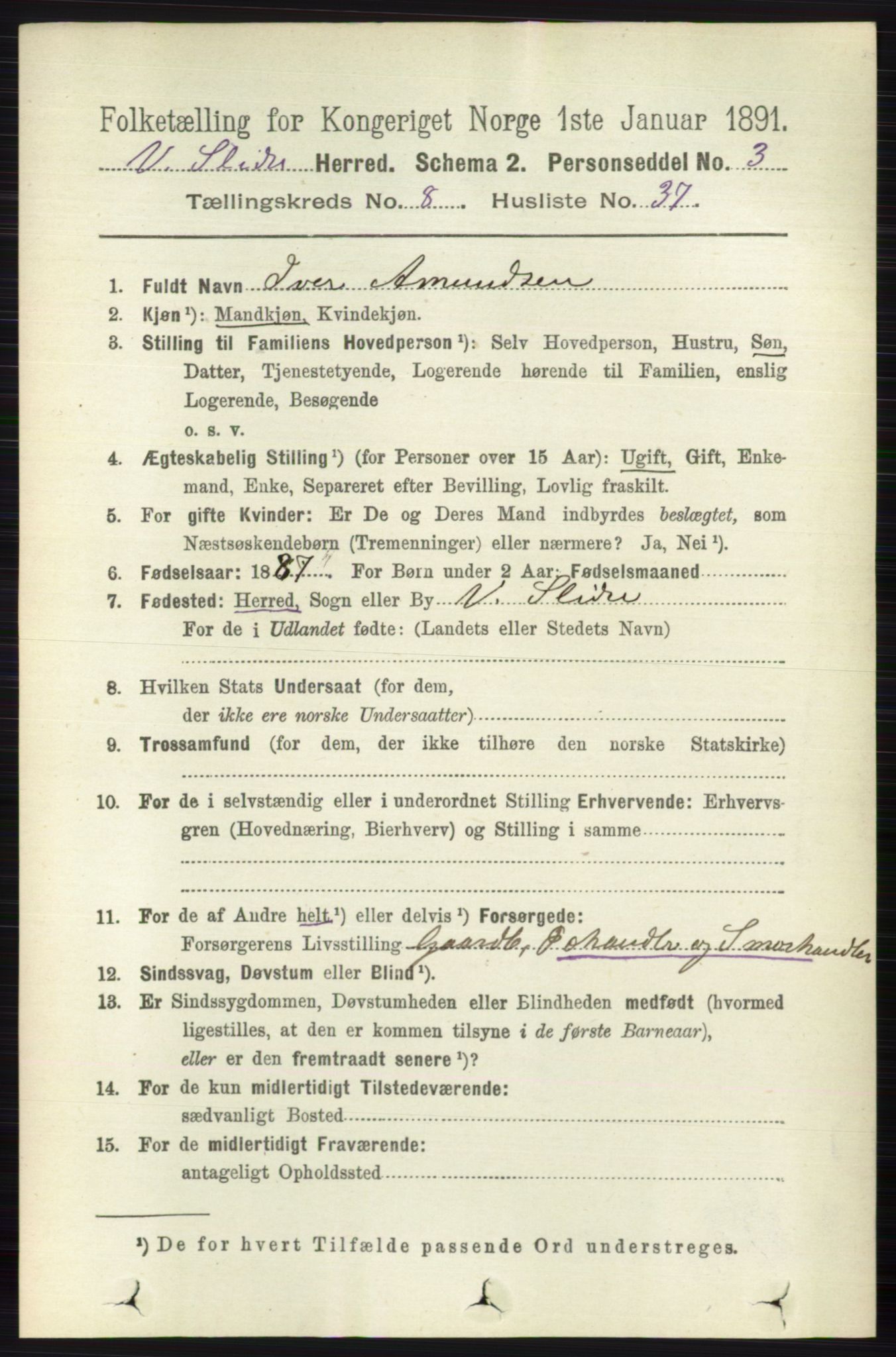 RA, 1891 census for 0543 Vestre Slidre, 1891, p. 3178