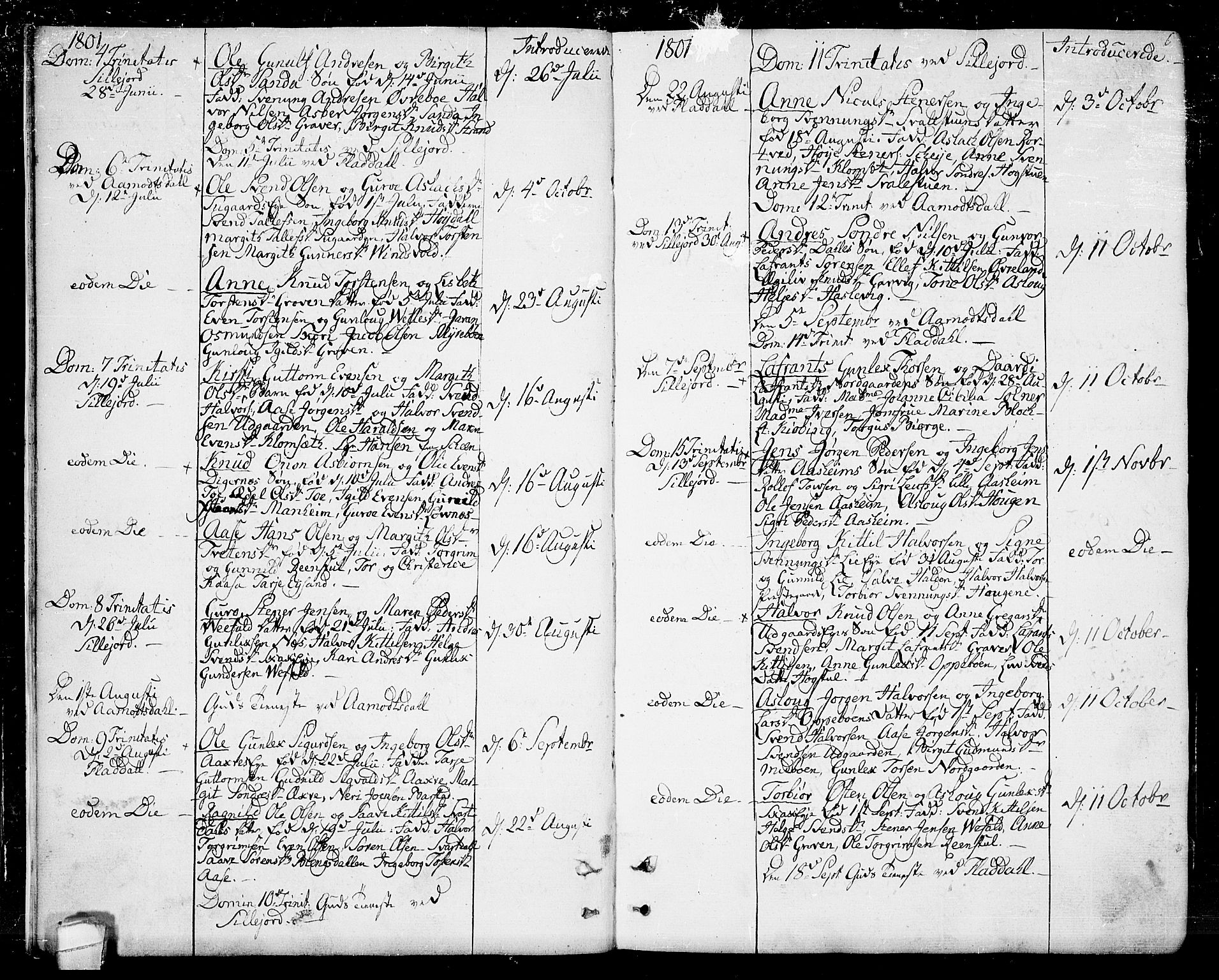 Seljord kirkebøker, SAKO/A-20/F/Fa/L0009: Parish register (official) no. I 9, 1801-1814, p. 6