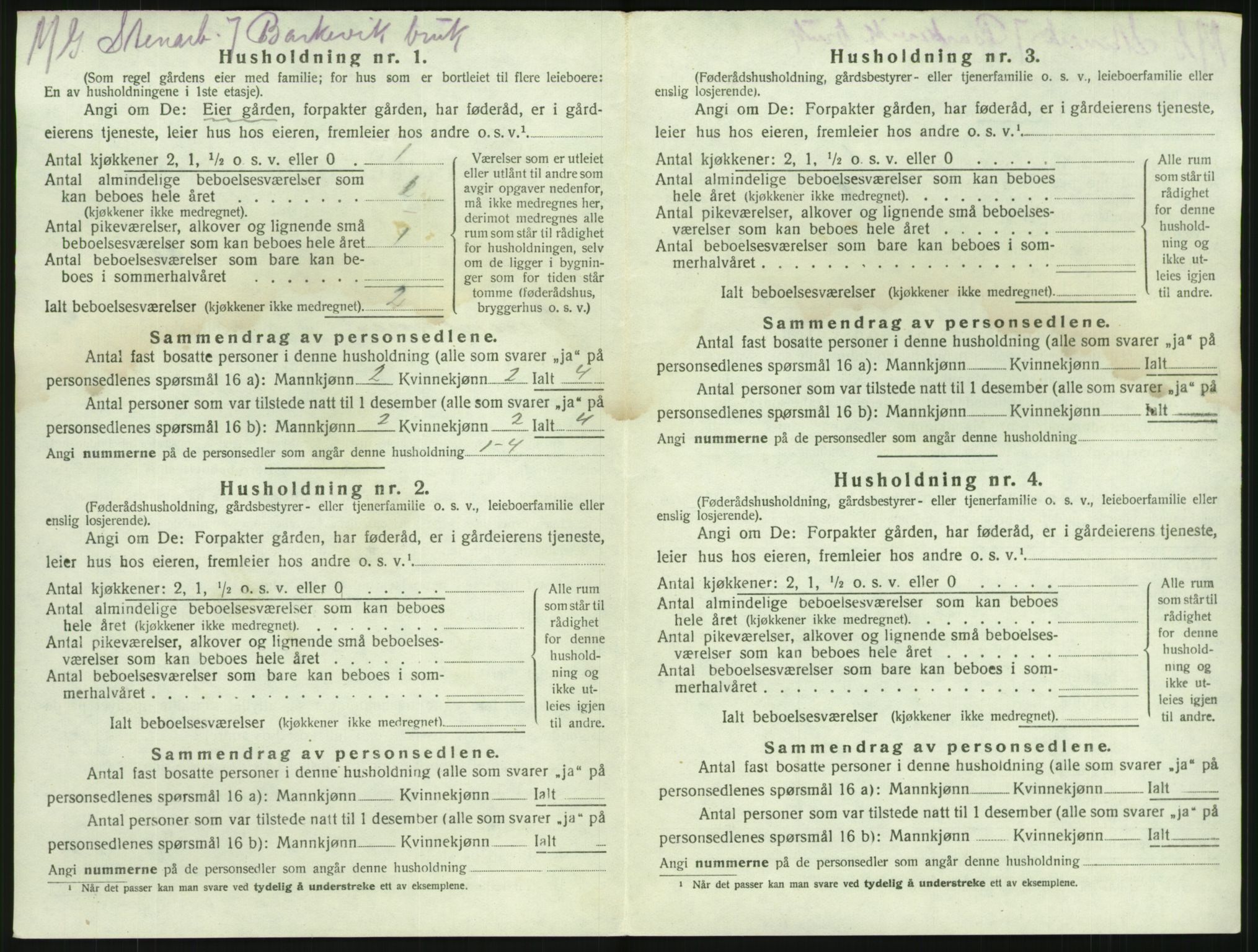 SAKO, 1920 census for Brunlanes, 1920, p. 1242