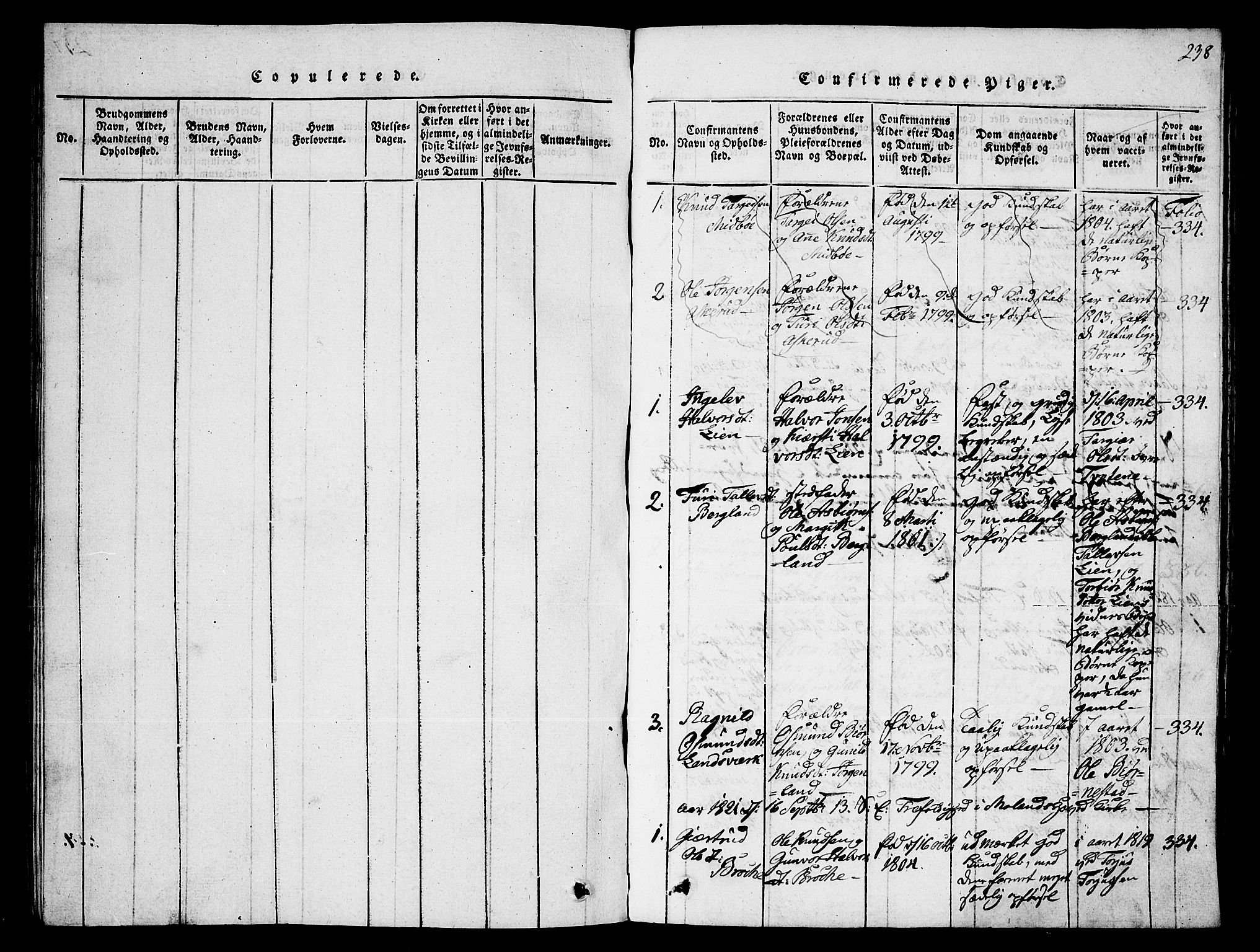 Fyresdal kirkebøker, SAKO/A-263/G/Ga/L0002: Parish register (copy) no. I 2, 1815-1857, p. 238