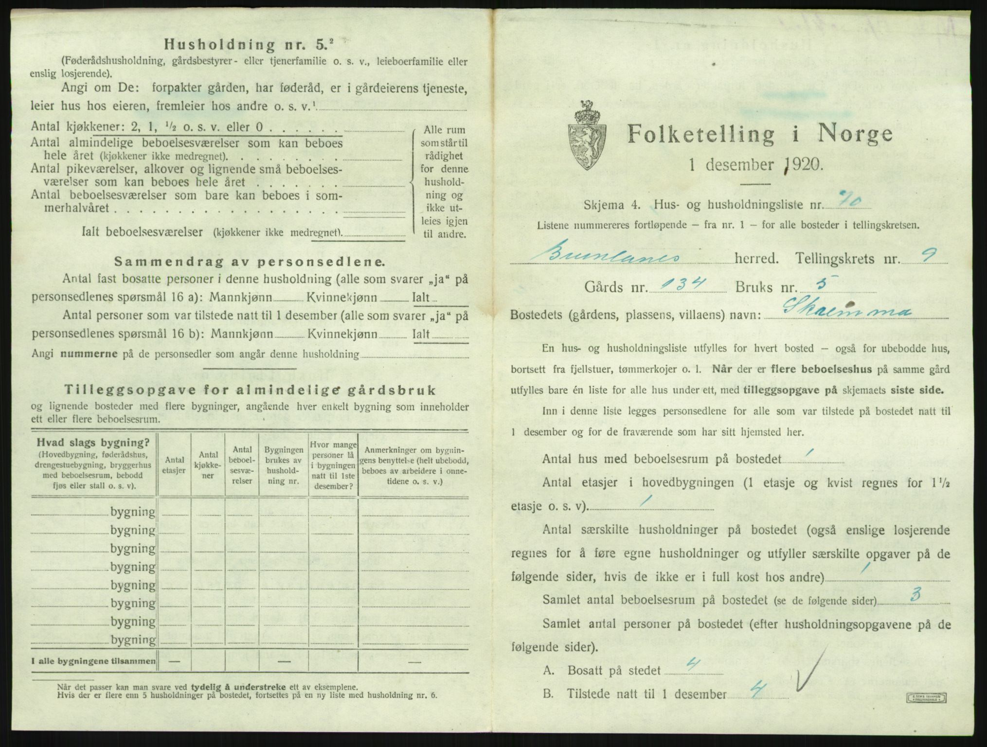 SAKO, 1920 census for Brunlanes, 1920, p. 1219
