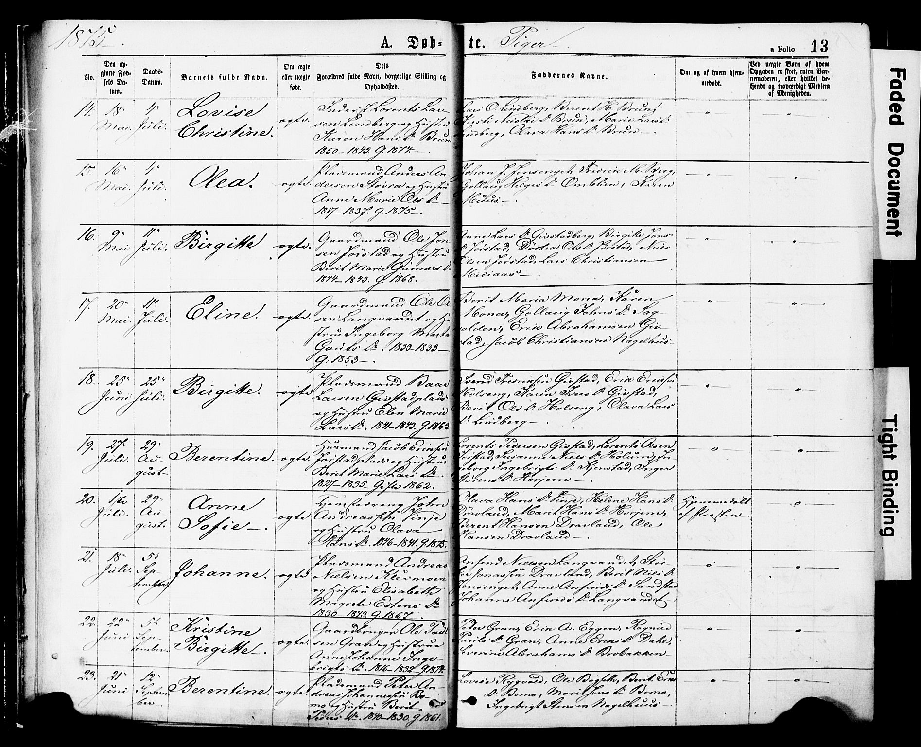 Ministerialprotokoller, klokkerbøker og fødselsregistre - Nord-Trøndelag, SAT/A-1458/749/L0473: Parish register (official) no. 749A07, 1873-1887, p. 13