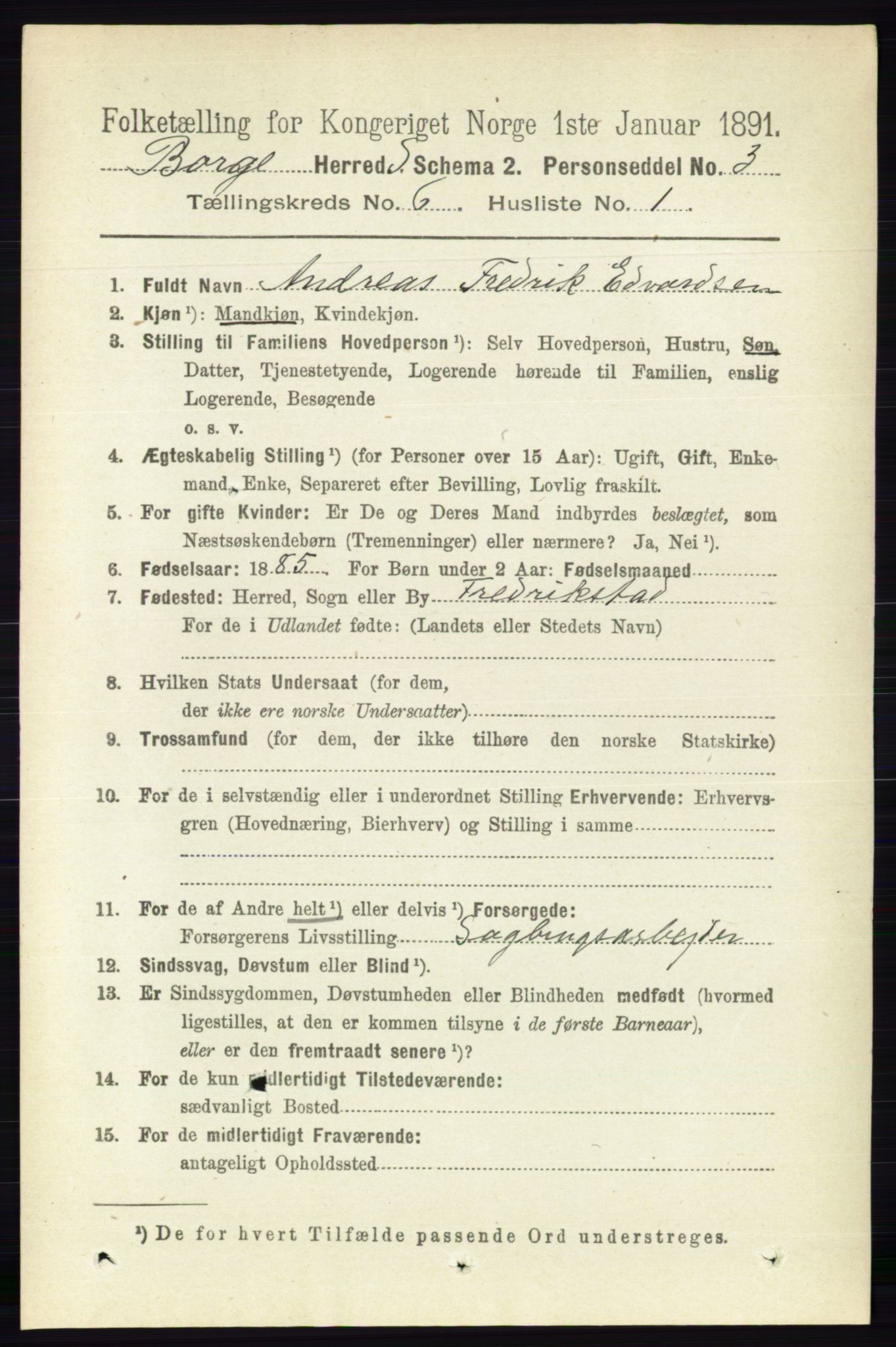 RA, 1891 census for 0113 Borge, 1891, p. 3038