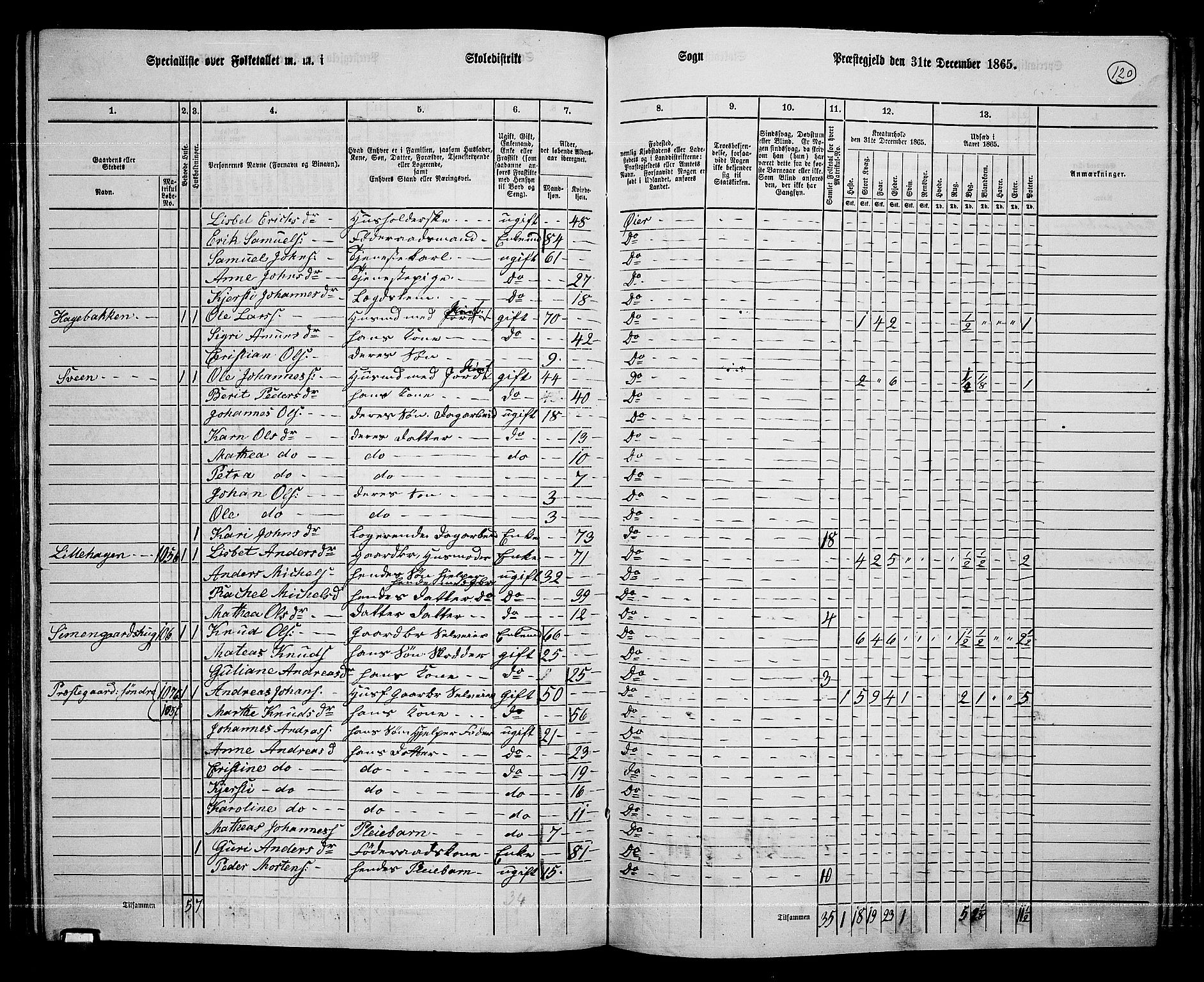 RA, 1865 census for Øyer, 1865, p. 106