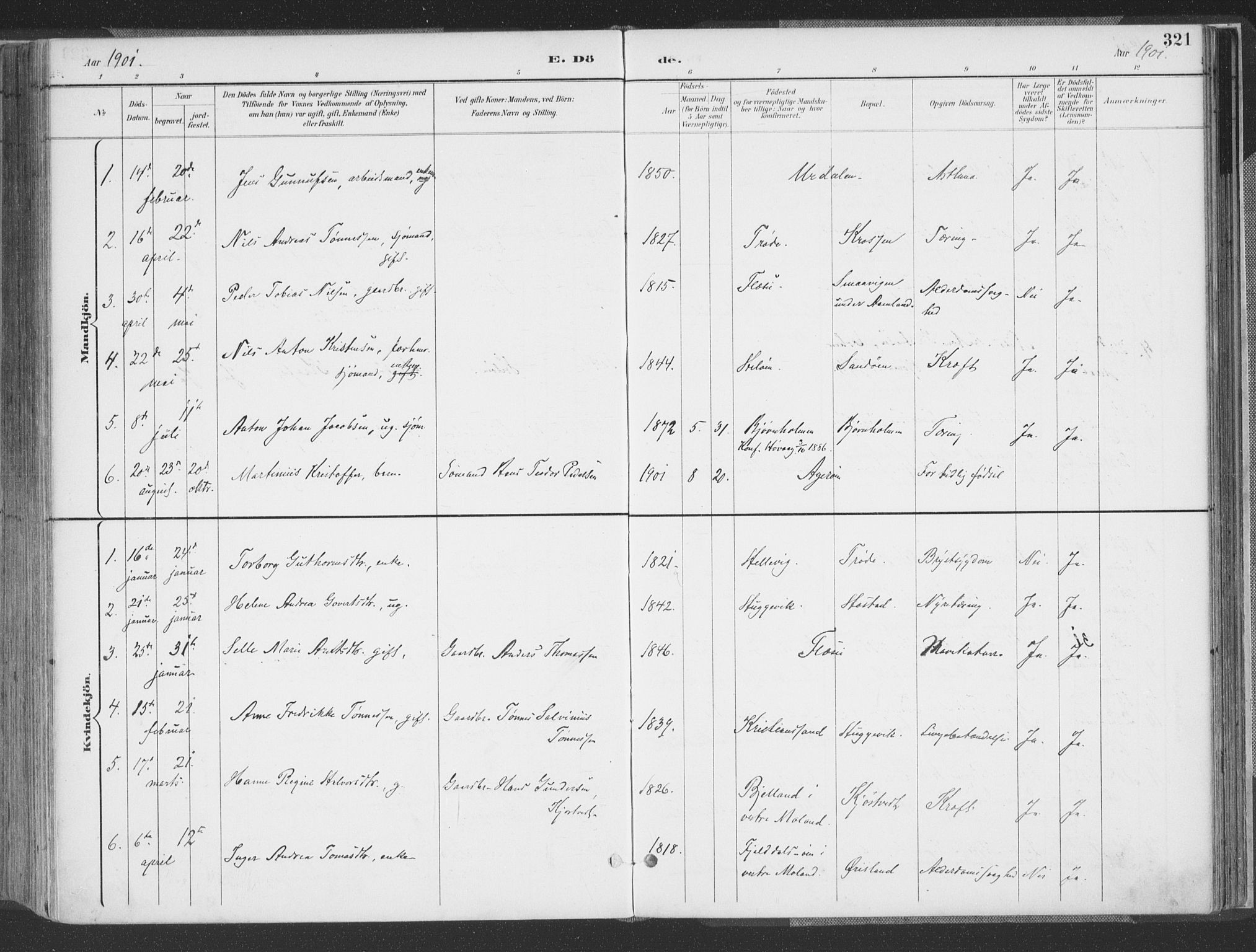 Høvåg sokneprestkontor, AV/SAK-1111-0025/F/Fa/L0006: Parish register (official) no. A 6, 1894-1923, p. 321