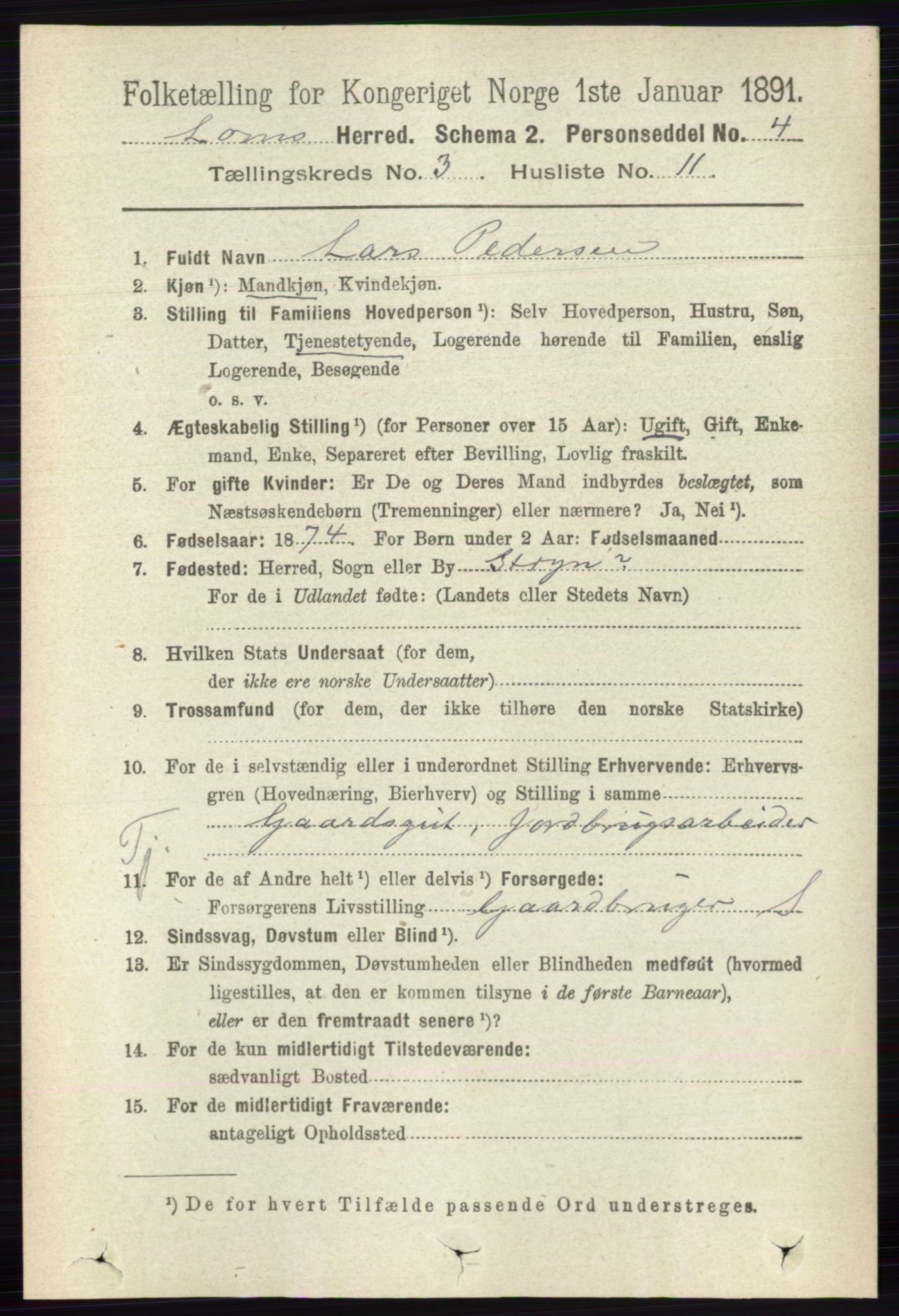 RA, 1891 census for 0514 Lom, 1891, p. 1317