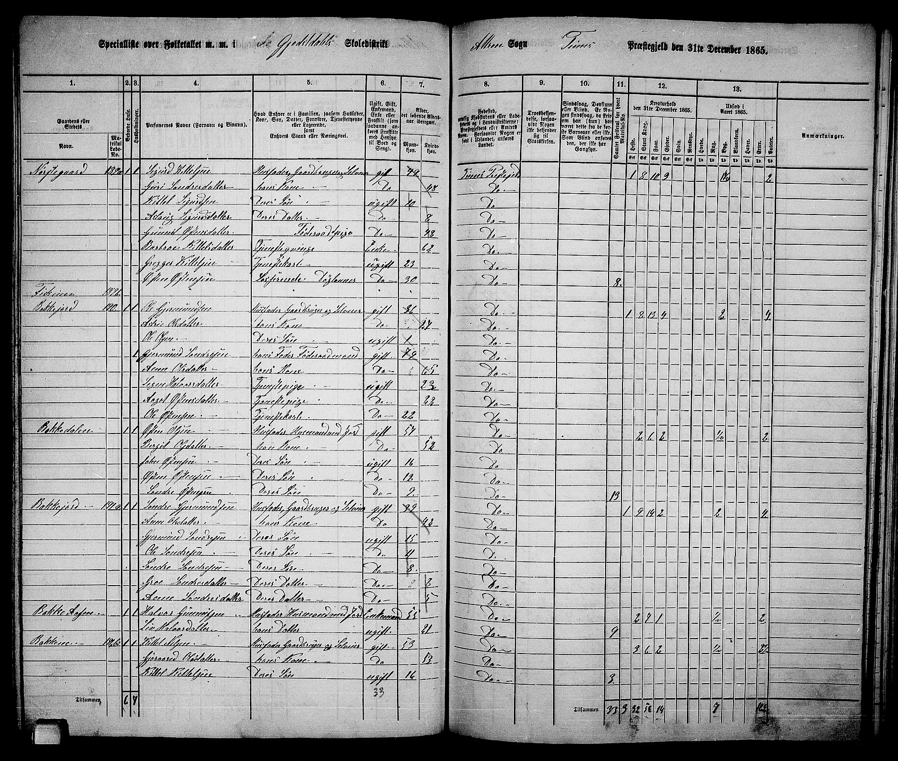 RA, 1865 census for Tinn, 1865, p. 51